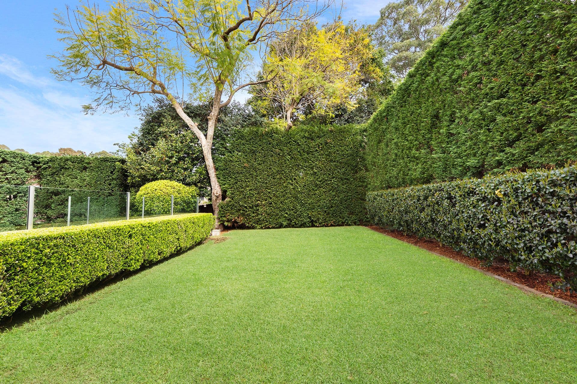 8 Crown Road, Pymble, NSW, 2073, Pymble - Thumbnail 4