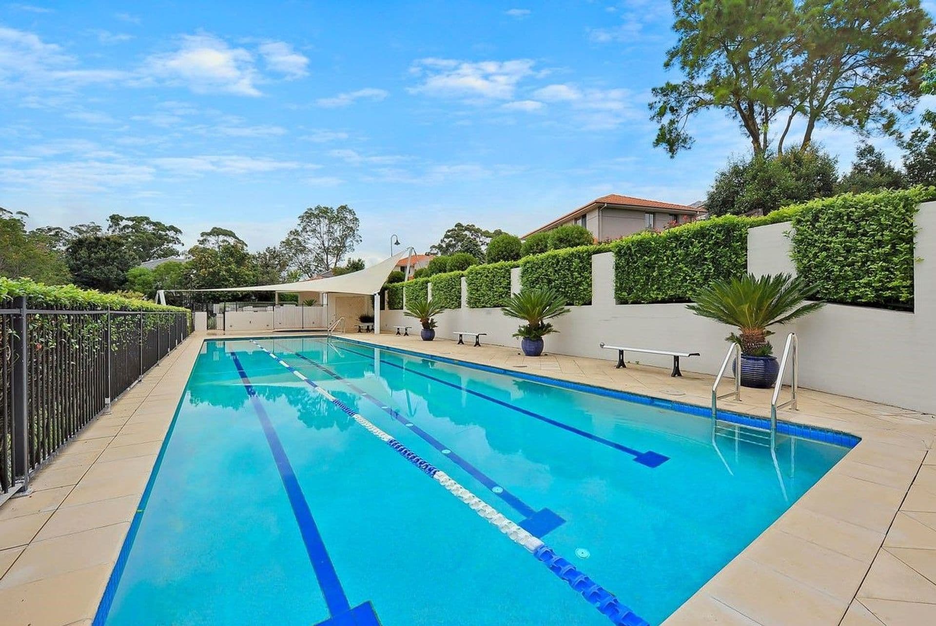 31 Corella Way, Westleigh, NSW, 2120, Westleigh - Thumbnail 6