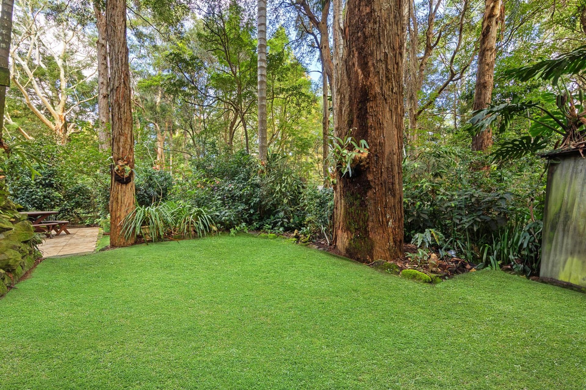 53 Duff Street, Turramurra, NSW, 2074, Turramurra - Thumbnail 5