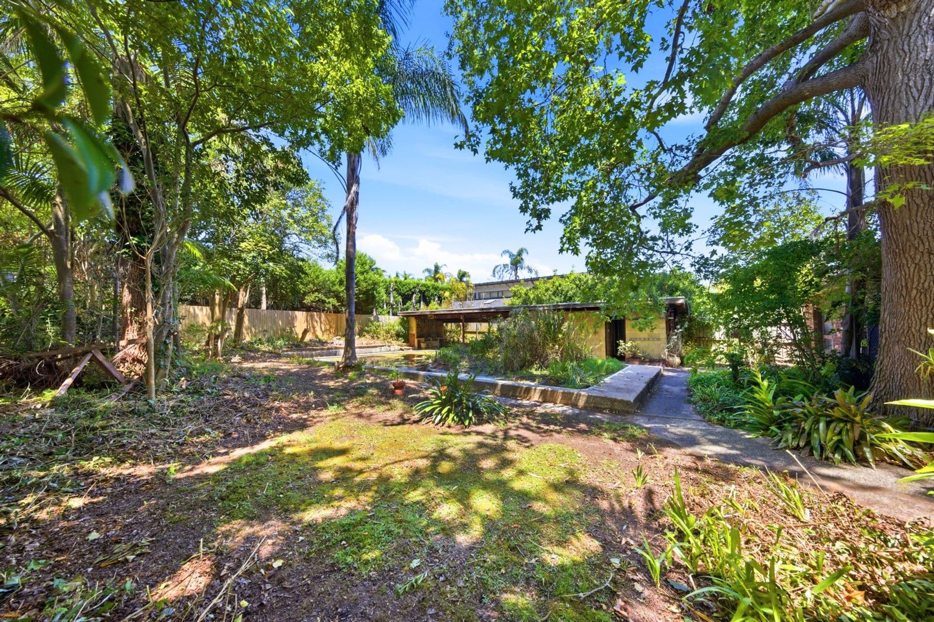 59 Westbrook Avenue, Wahroonga, NSW, 2076, Wahroonga - Thumbnail 3