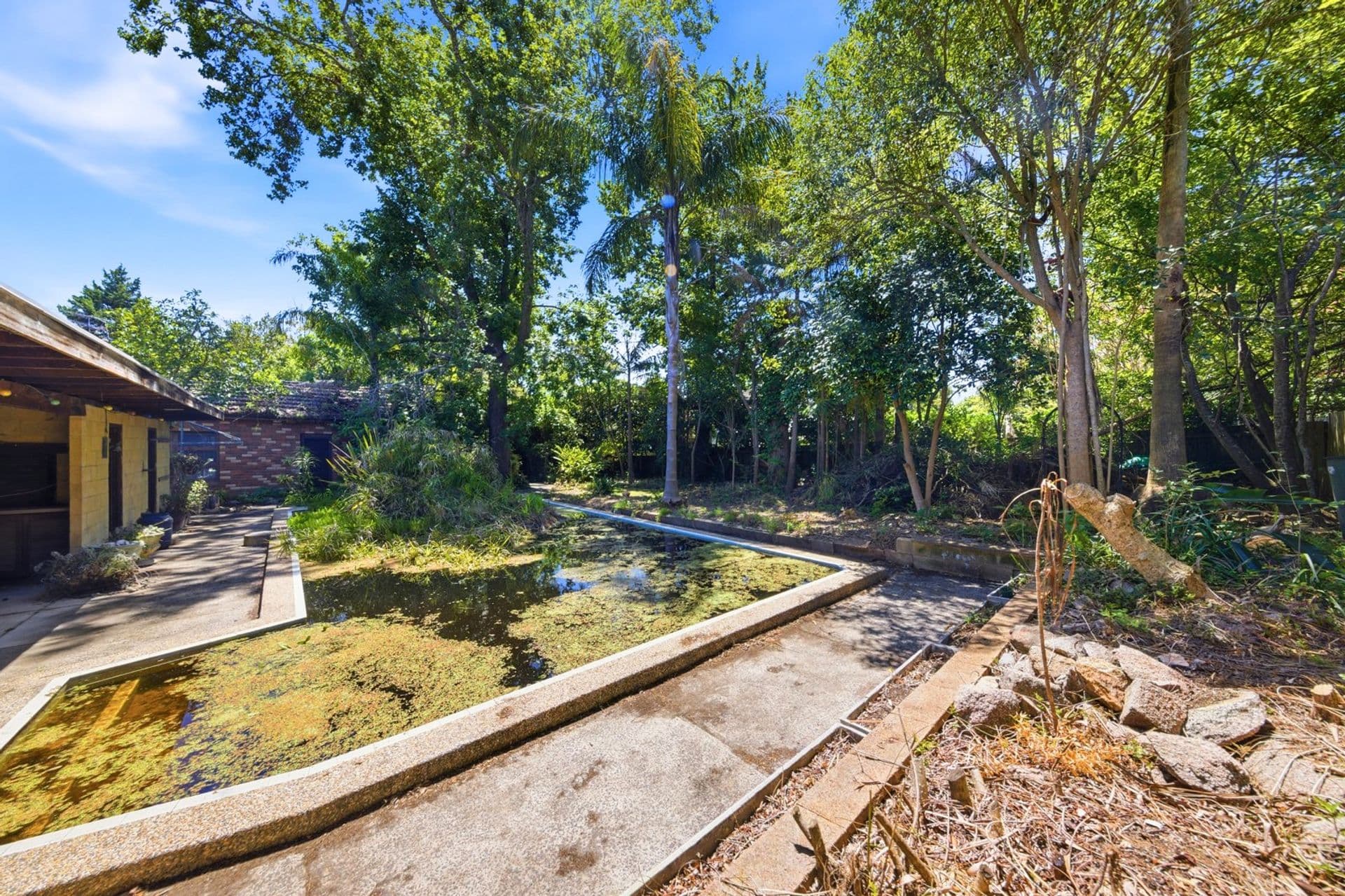 59 Westbrook Avenue, Wahroonga, NSW, 2076, Wahroonga - Thumbnail 4