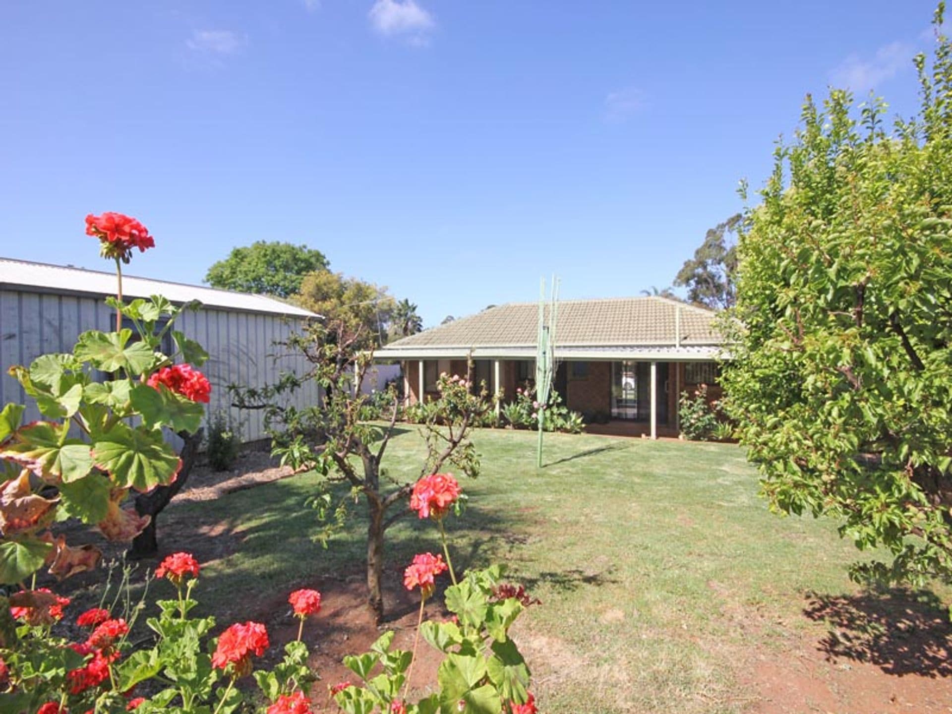 8 Lynly Court, Morphett Vale, SA, 5162, Morphett Vale - Thumbnail 8
