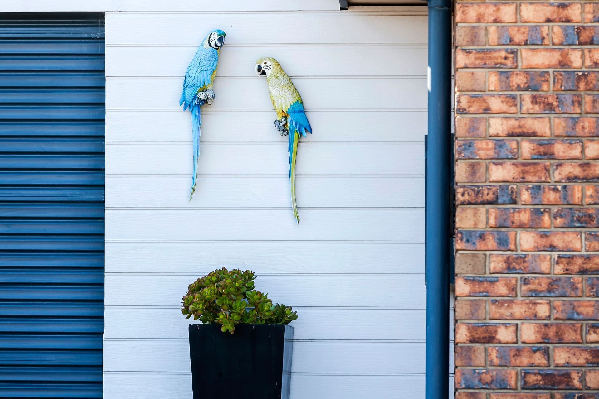 8 Ratcliffe Road, Aldinga Beach, SA, 5173, Aldinga Beach - Thumbnail 2