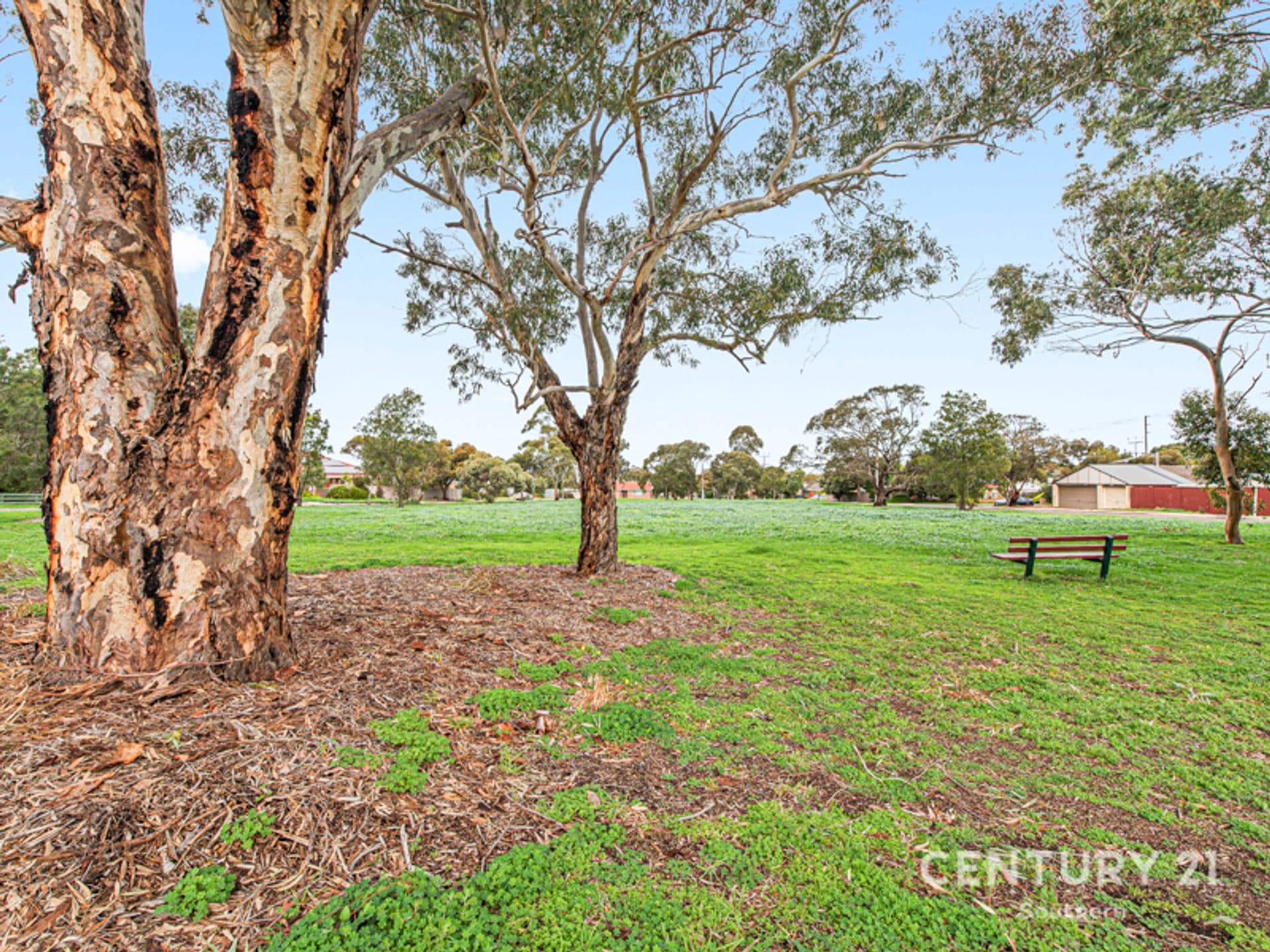 38 Adrian Street, Christie Downs, SA, 5164, Christie Downs - Thumbnail 7