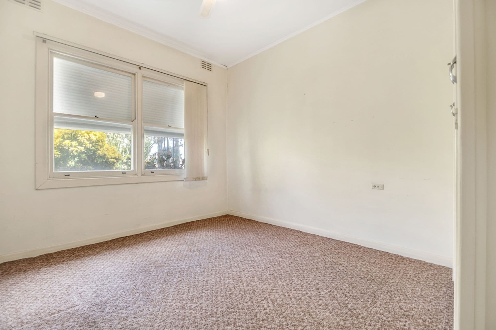 25 Cashel Street, Pasadena, SA, 5042, Pasadena - Thumbnail 6