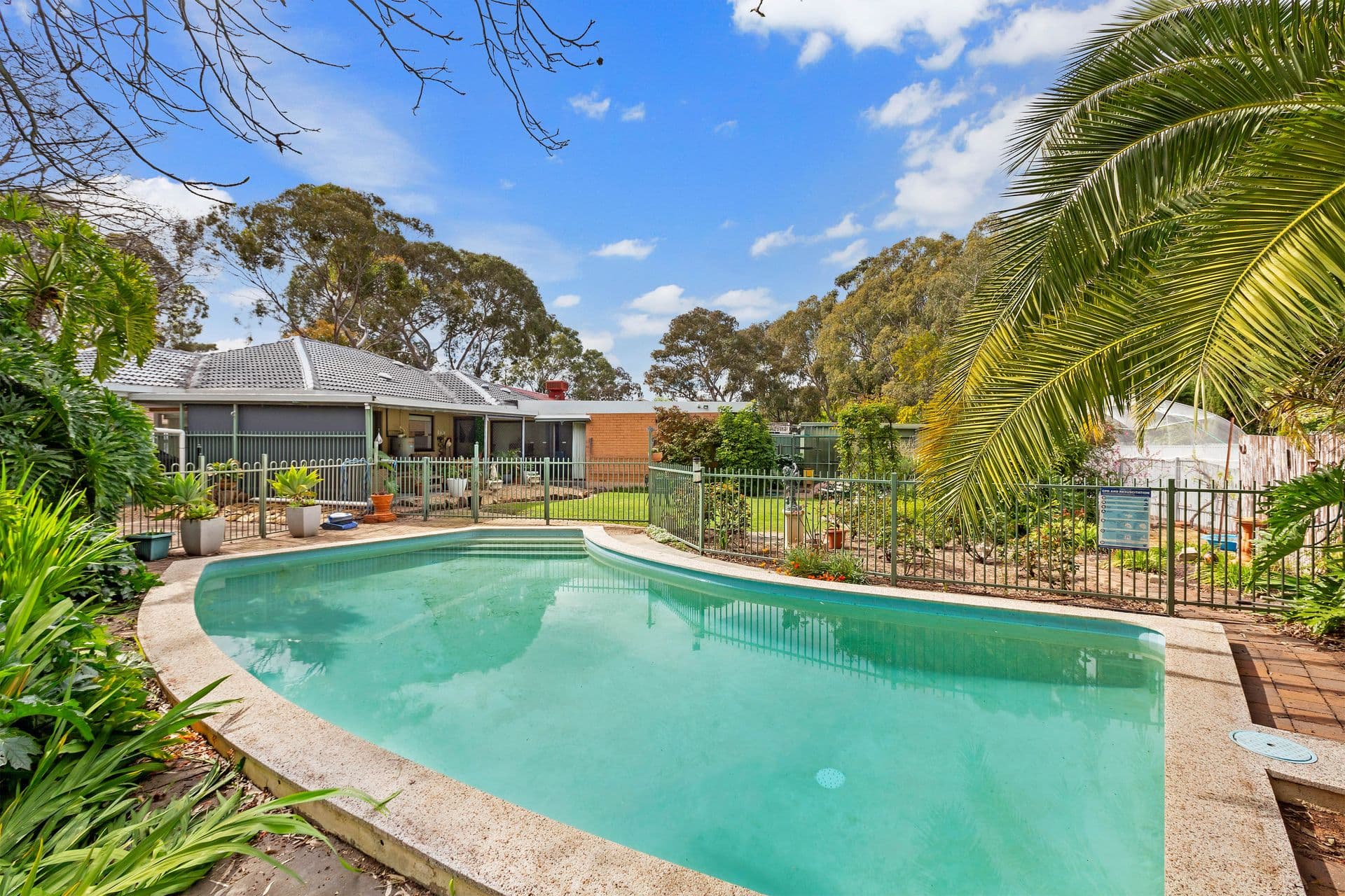23 Frances Street, Morphett Vale, SA, 5162, Morphett Vale - Image 1