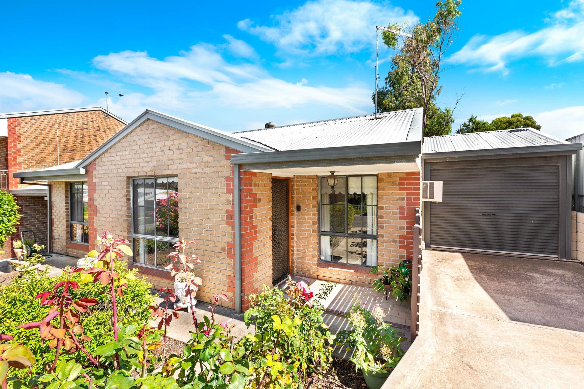 1/15-19 Tretter Street, Morphett Vale, SA, 5162, Morphett Vale - Image 1