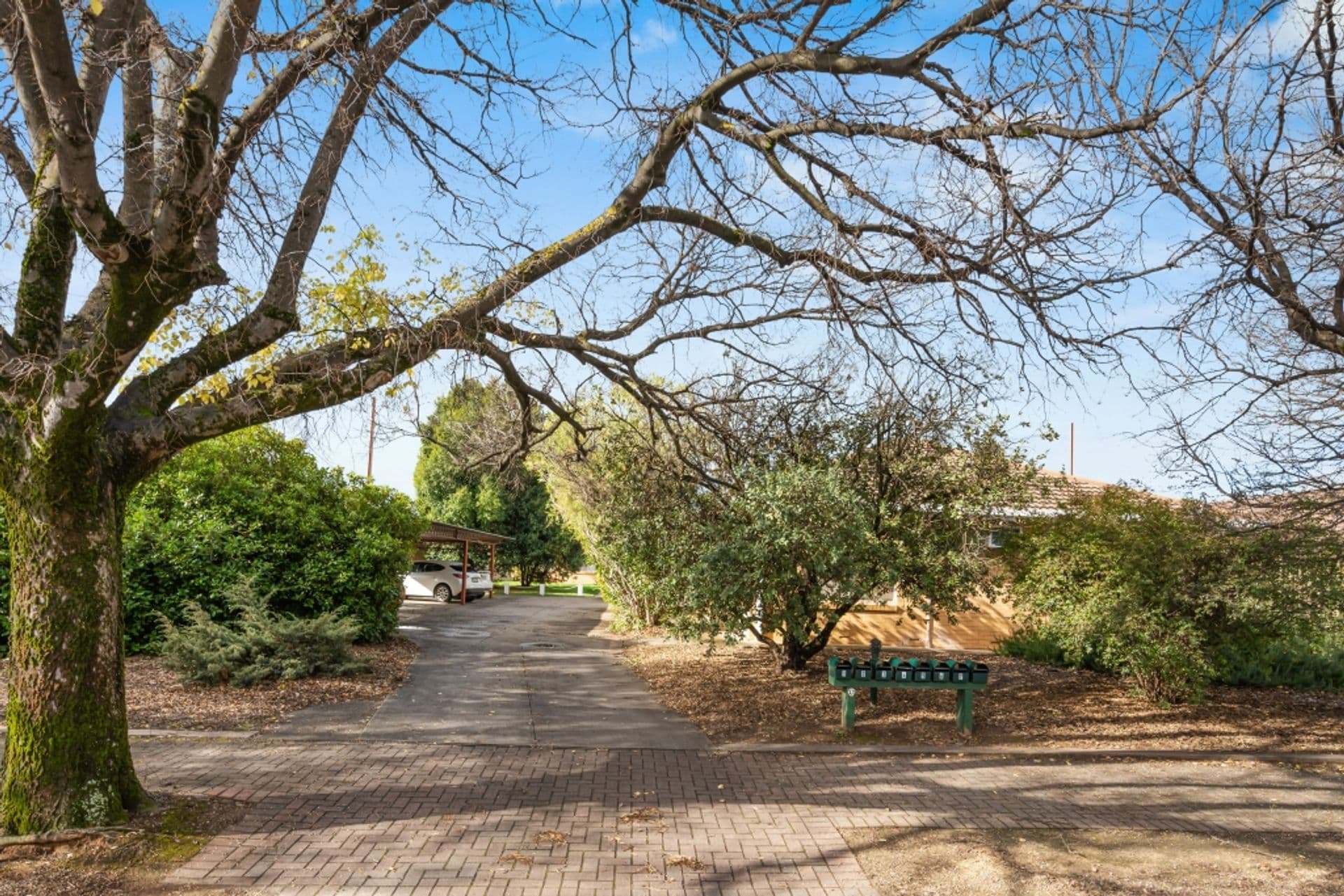 3/13 Adelaide Street, Maylands, SA, 5069, Maylands - Thumbnail 8