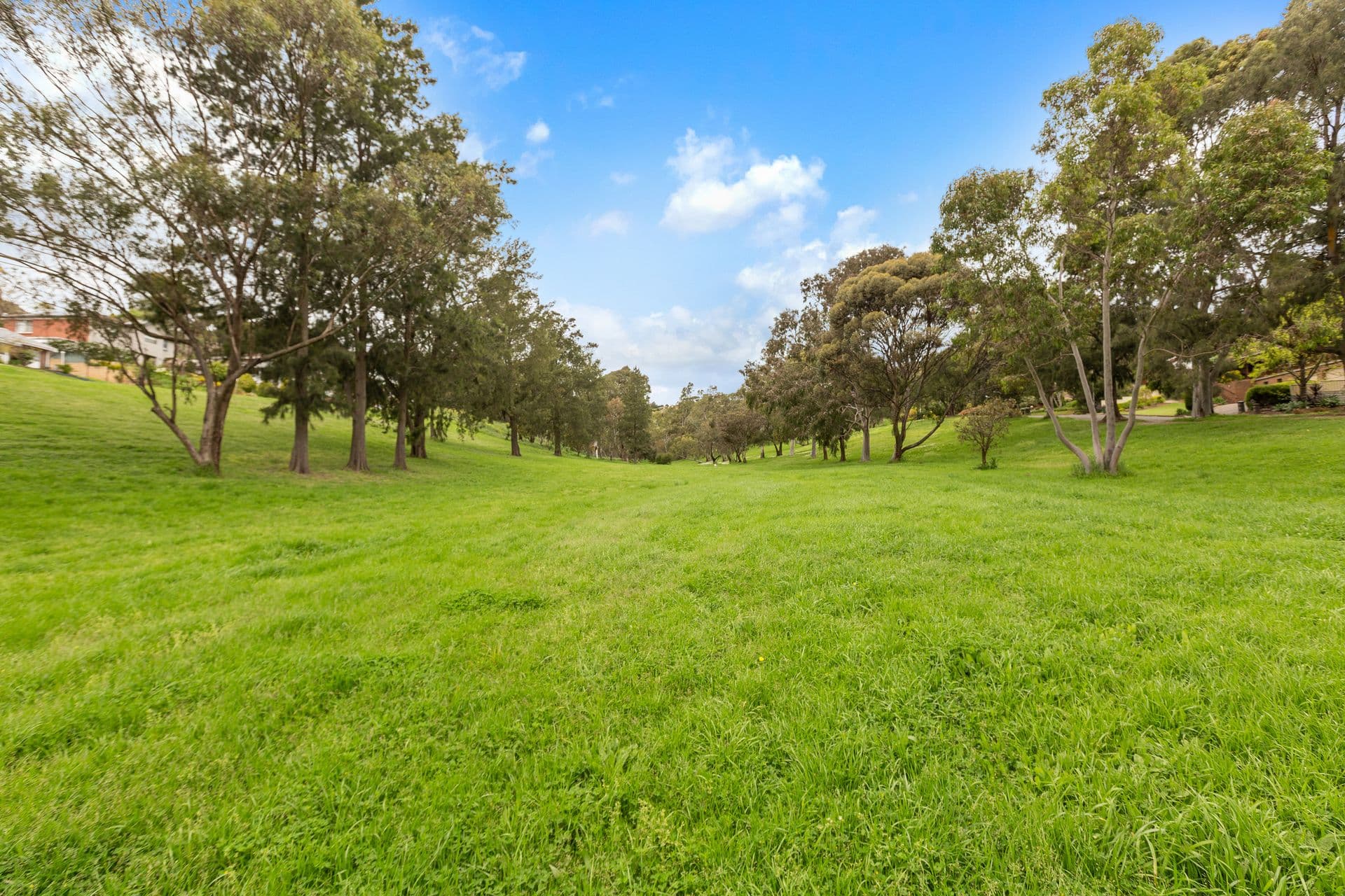 39 Woodhall Drive, Happy Valley, SA, 5159, Happy Valley - Thumbnail 3