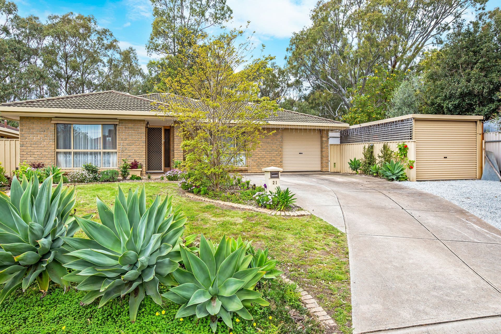 21 Begonia Street, Morphett Vale, SA, 5162, Morphett Vale - Image 1
