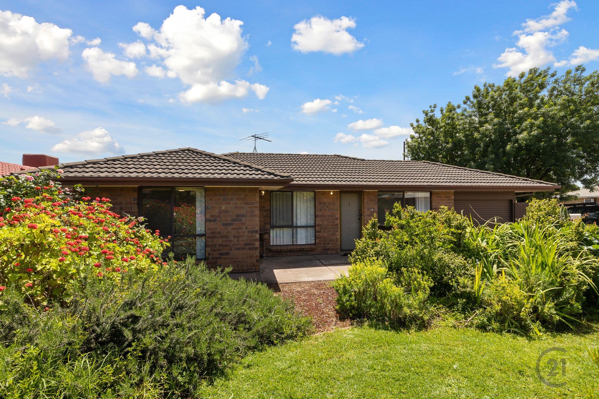 1 Cole Court, Morphett Vale, SA, 5162, Morphett Vale - Image 1