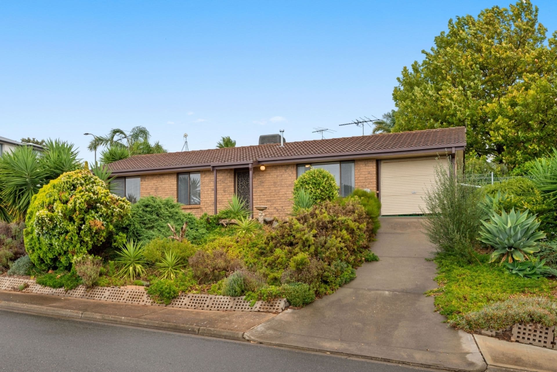 3 Beeches Road, Hallett Cove, SA, 5158, Hallett Cove - Image 1