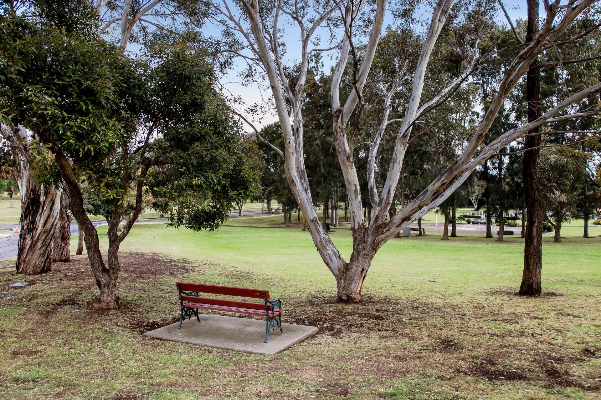 3 Tilbrook Court, McLaren Vale, SA, 5171, McLaren Vale - Image 1