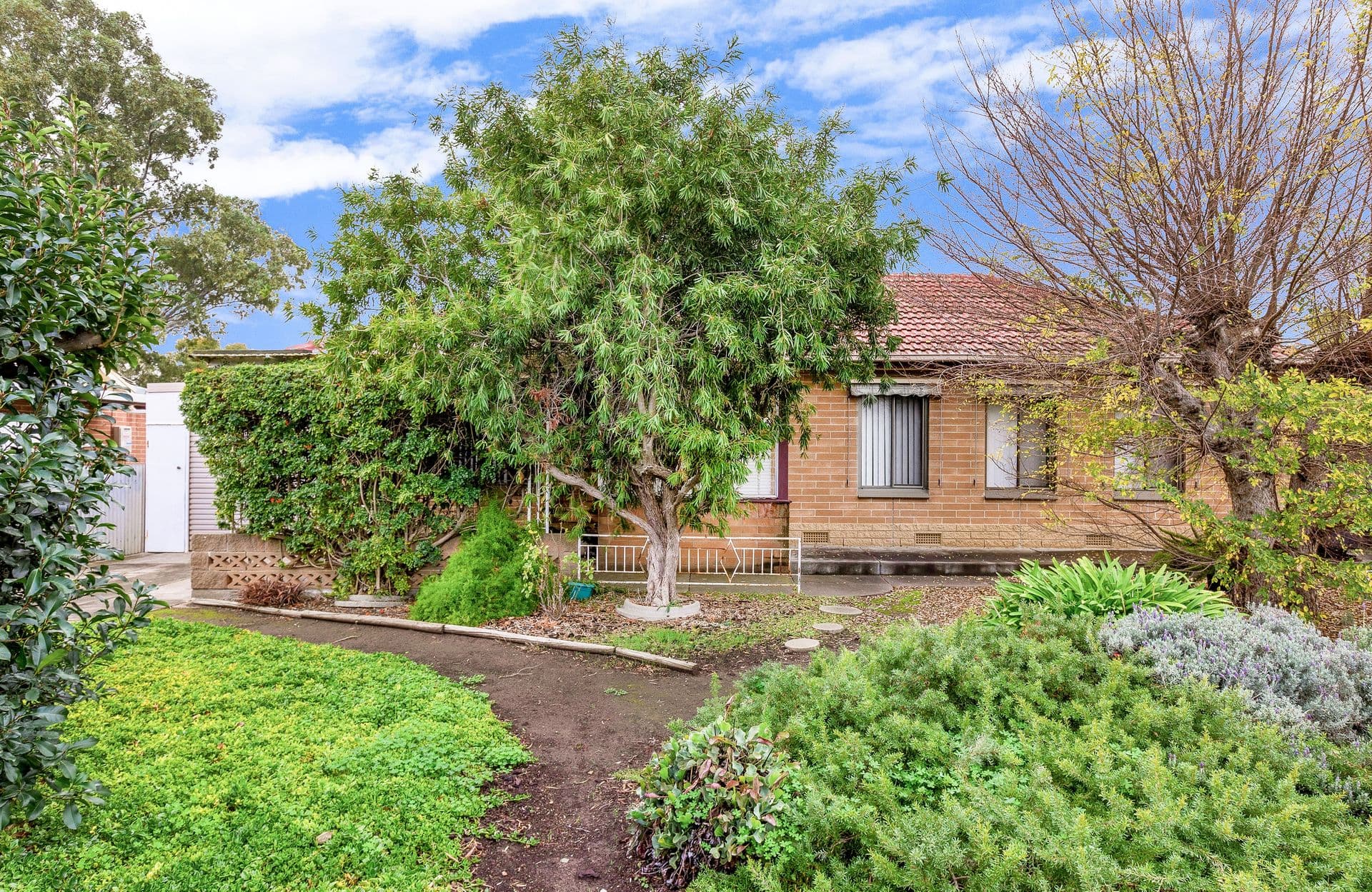 146 Bradley Grove, Mitchell Park, SA, 5043, Mitchell Park - Thumbnail 2