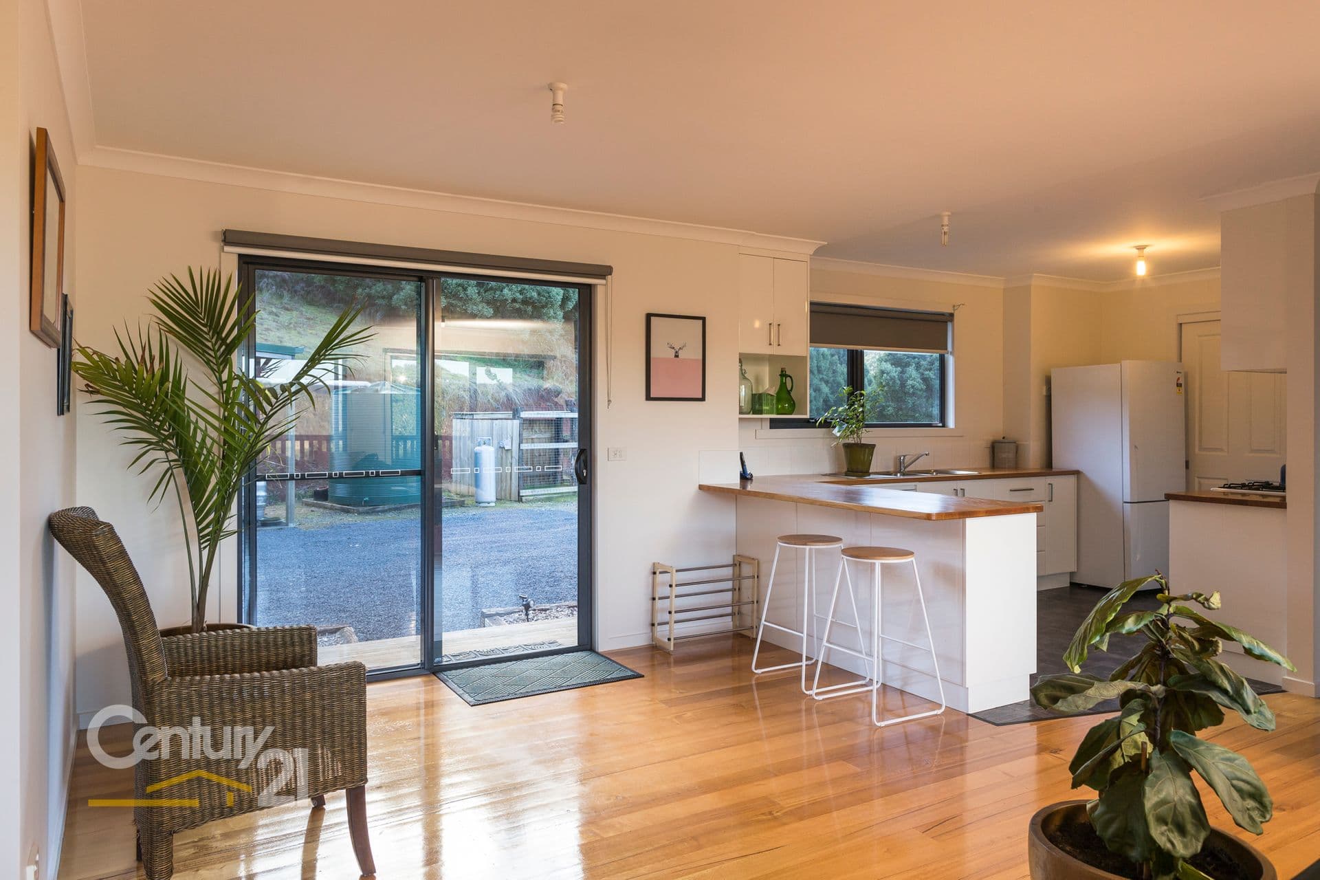 218 Buxtons Road, Wilmot, TAS, 7310, Wilmot - Thumbnail 2