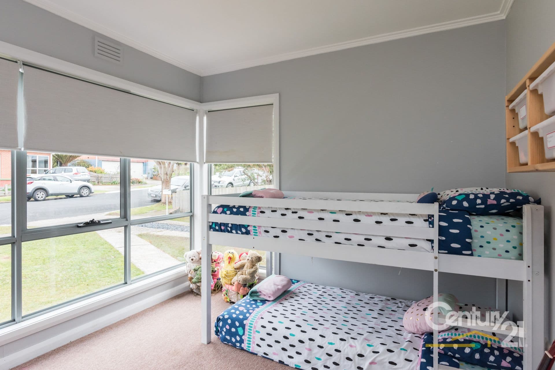 17 Boronia Avenue, Devonport, TAS, 7310, Devonport - Thumbnail 7