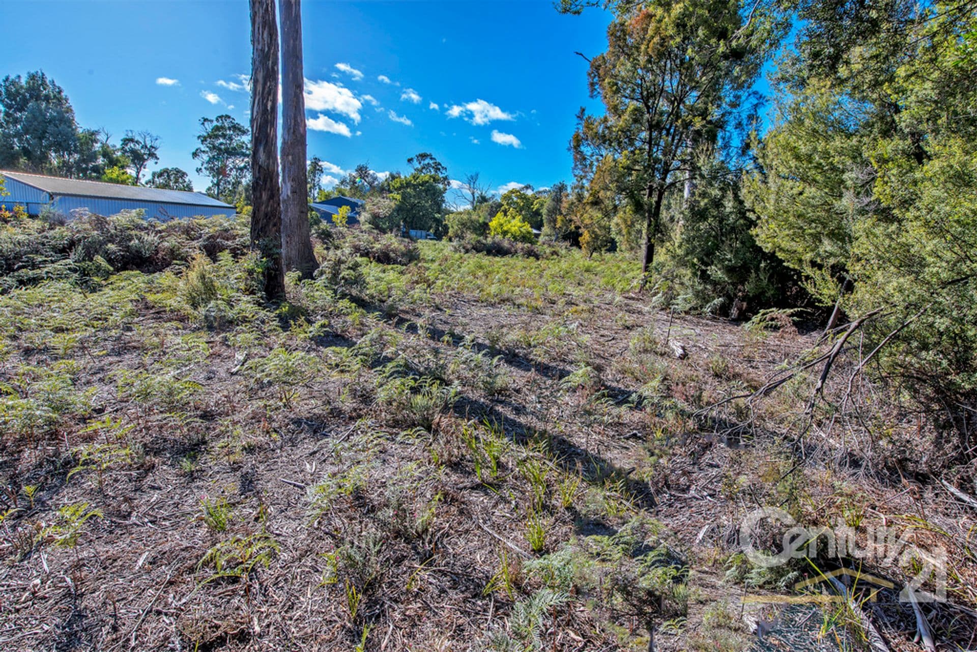 9 Anstey Street, Squeaking Point, TAS, 7307, Squeaking Point - Thumbnail 3