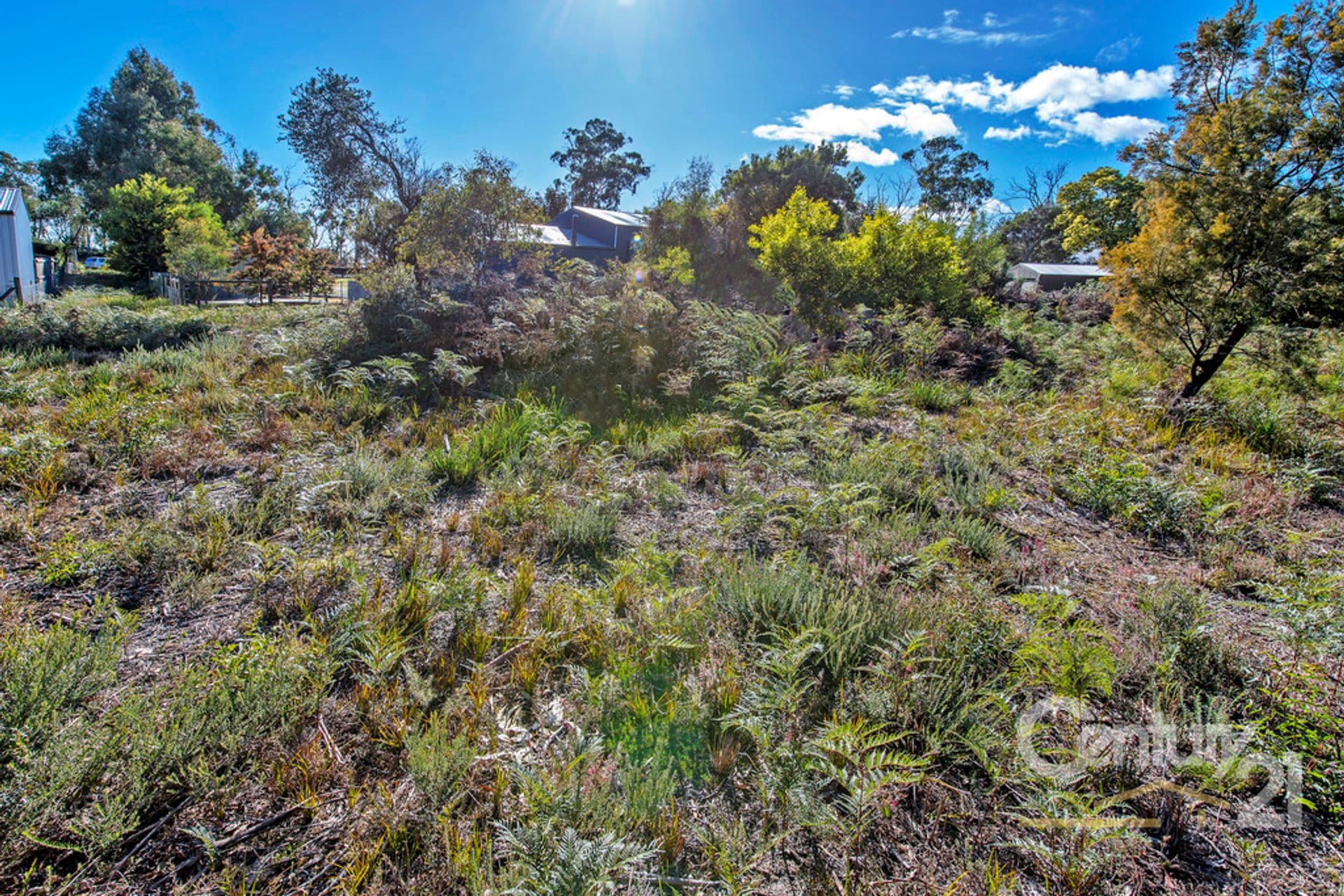 9 Anstey Street, Squeaking Point, TAS, 7307, Squeaking Point - Thumbnail 5