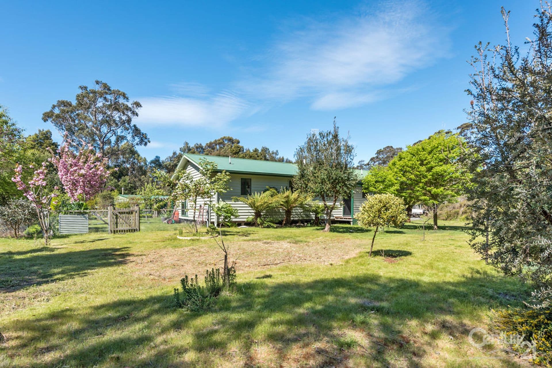 39 Panatana Drive, Port Sorell, TAS, 7307, Port Sorell - Thumbnail 2