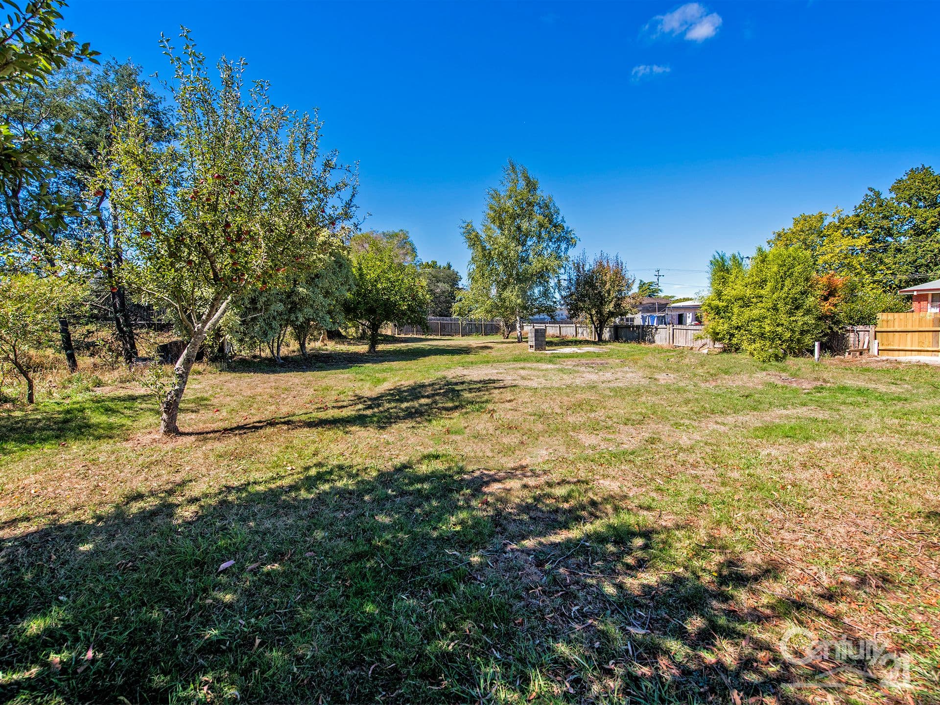 13 Bradshaw Street, Latrobe, TAS, 7307, Latrobe - Thumbnail 3