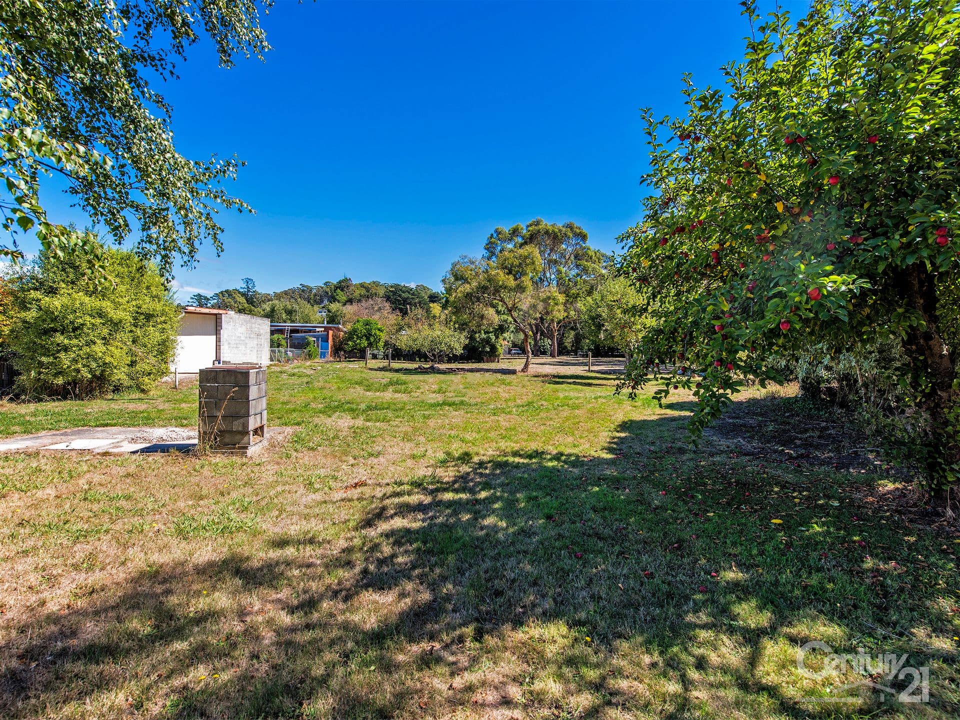 13 Bradshaw Street, Latrobe, TAS, 7307, Latrobe - Thumbnail 2