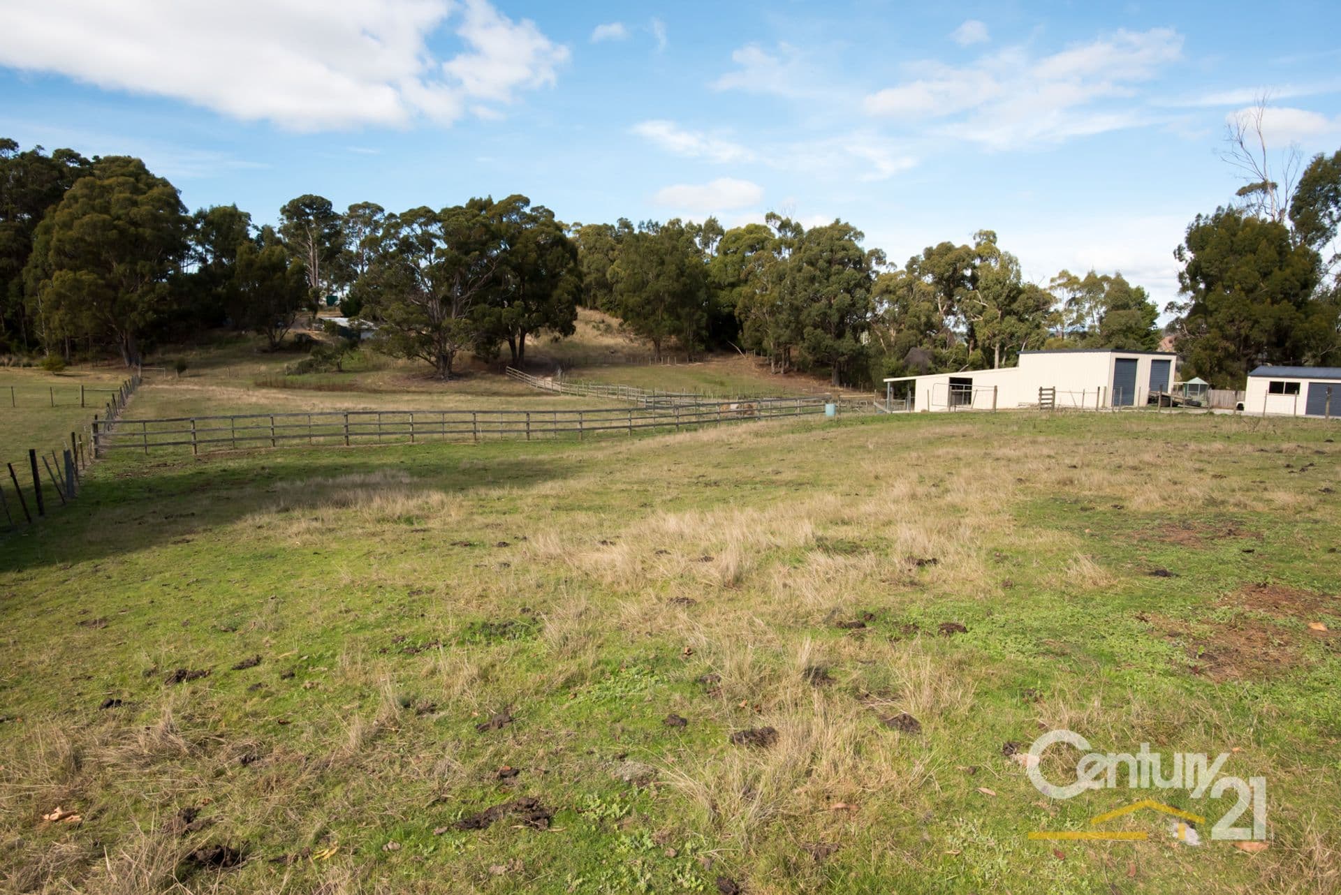 14 Olivers Road, West Ulverstone, TAS, 7315, West Ulverstone - Thumbnail 4