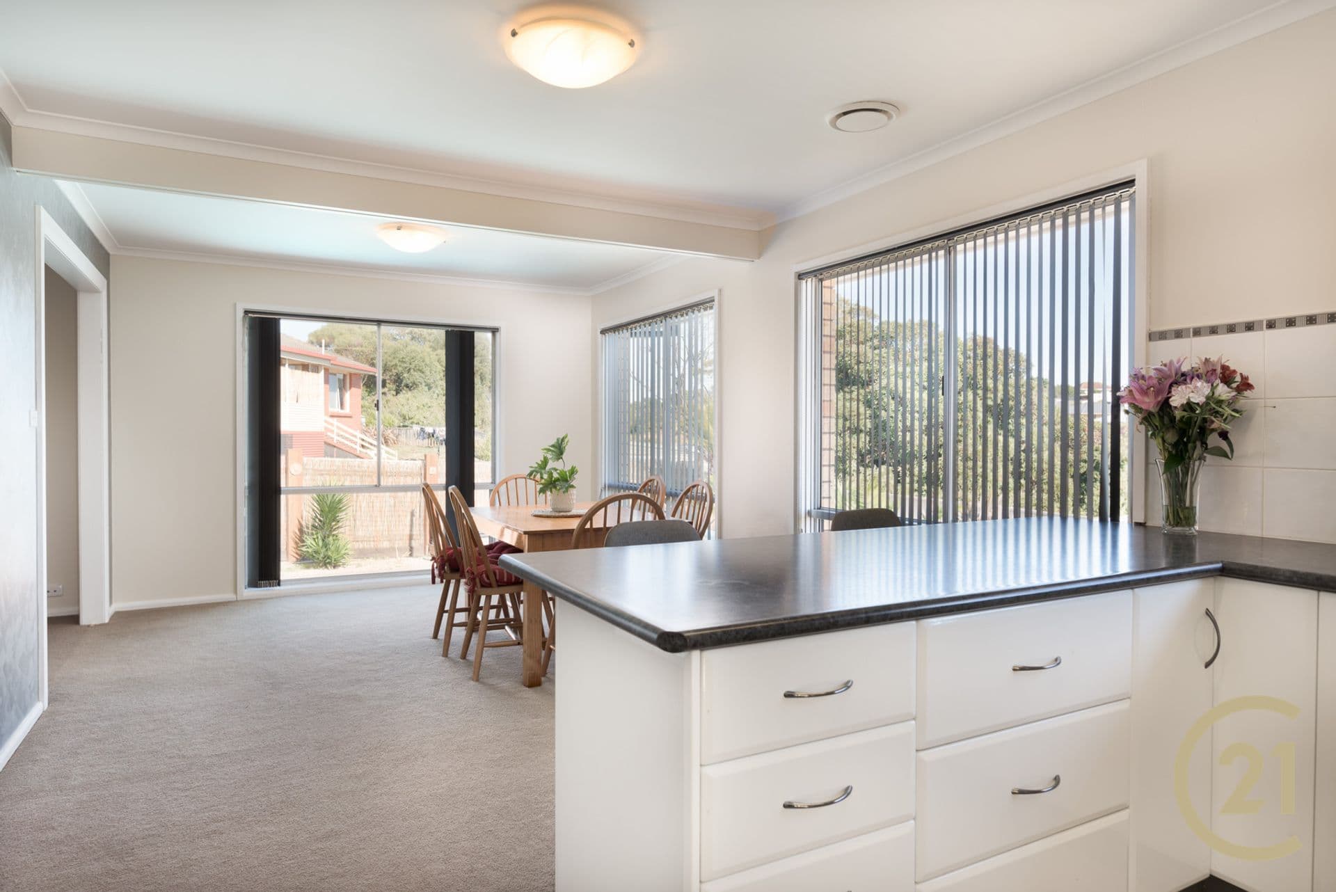 19 Maroong Lane, Miandetta, TAS, 7310, Miandetta - Thumbnail 4