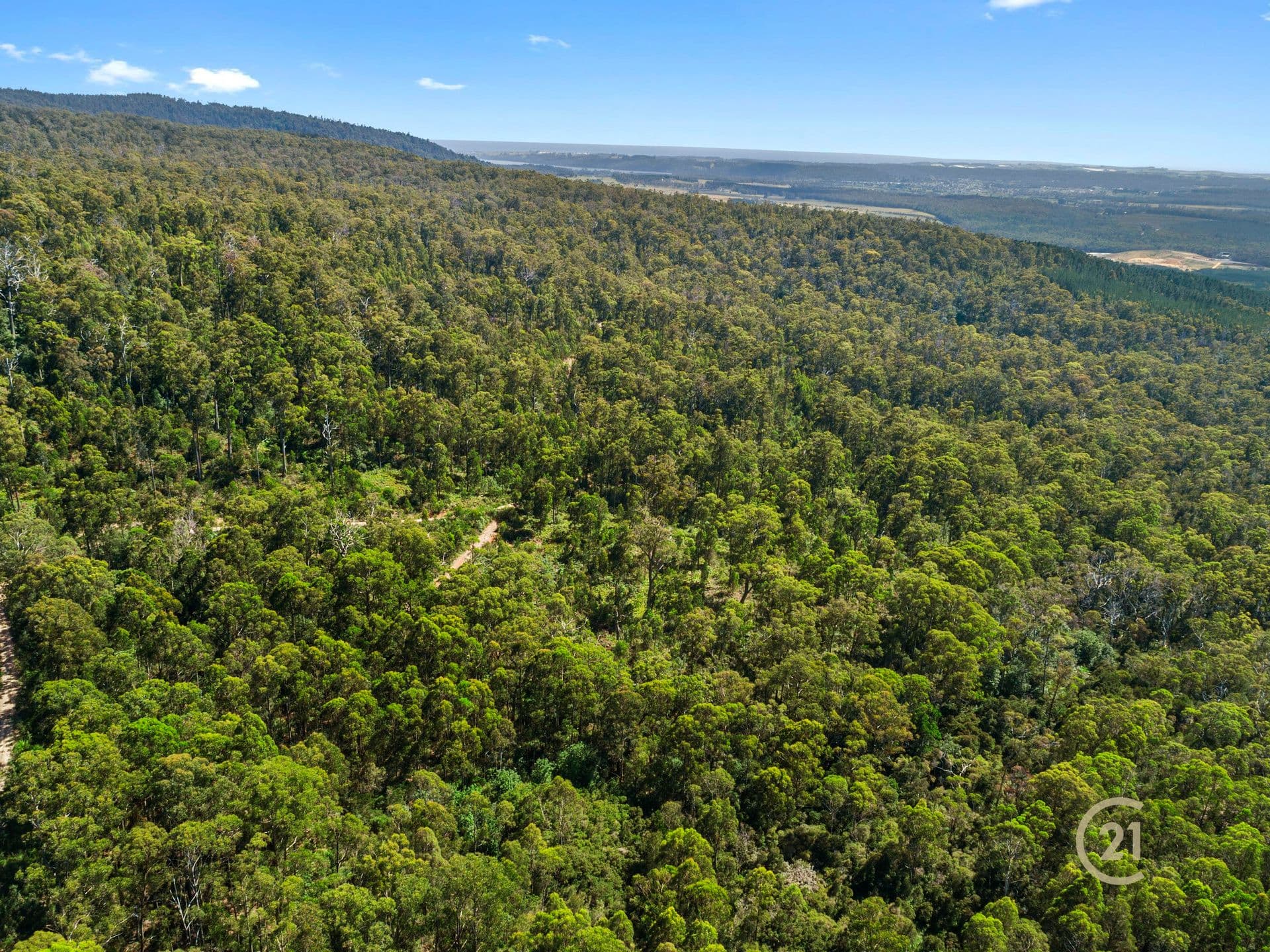 0 Dallys Road, Railton, TAS, 7305, Railton - Thumbnail 2