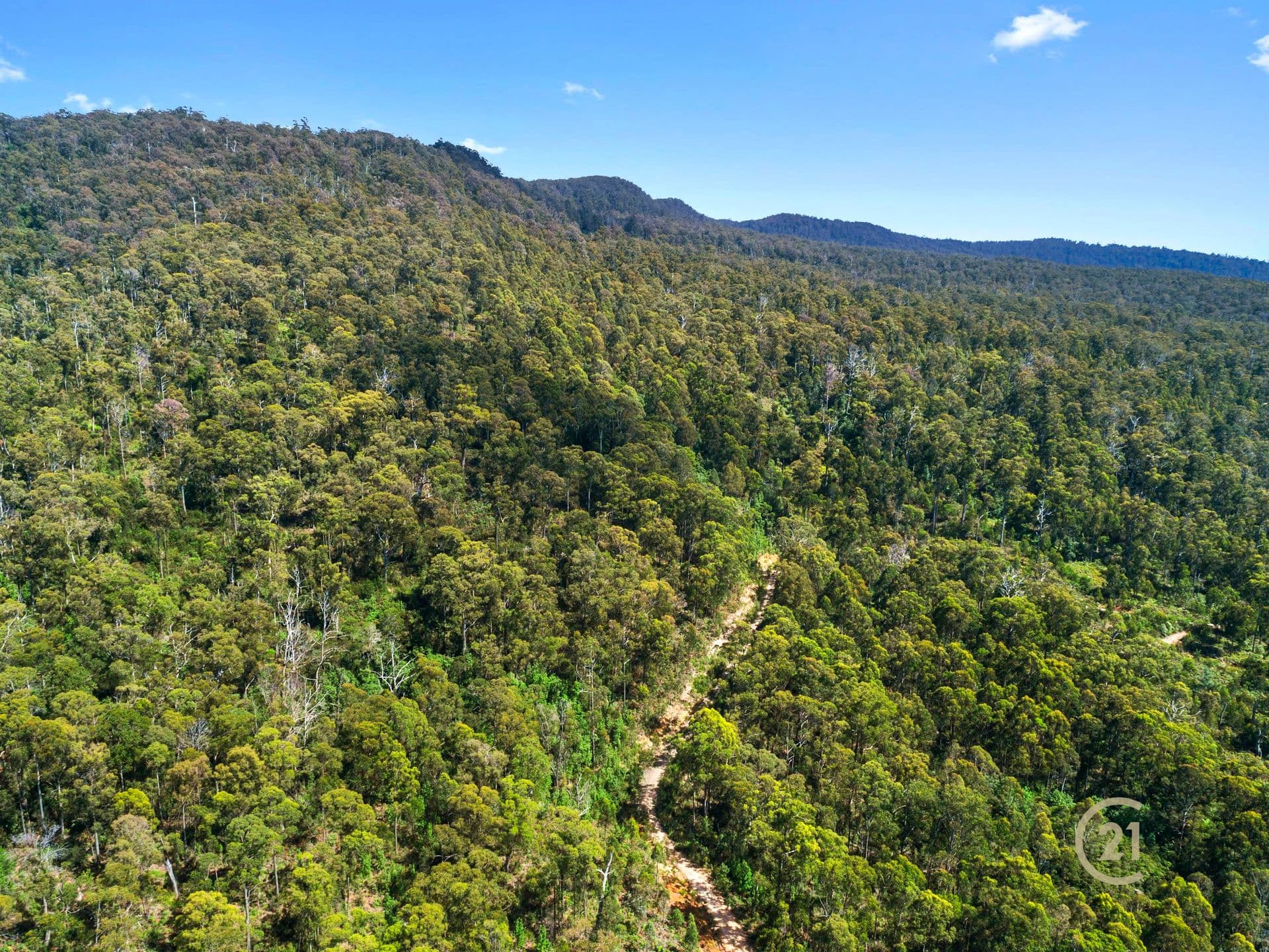 0 Dallys Road, Railton, TAS, 7305, Railton - Thumbnail 5