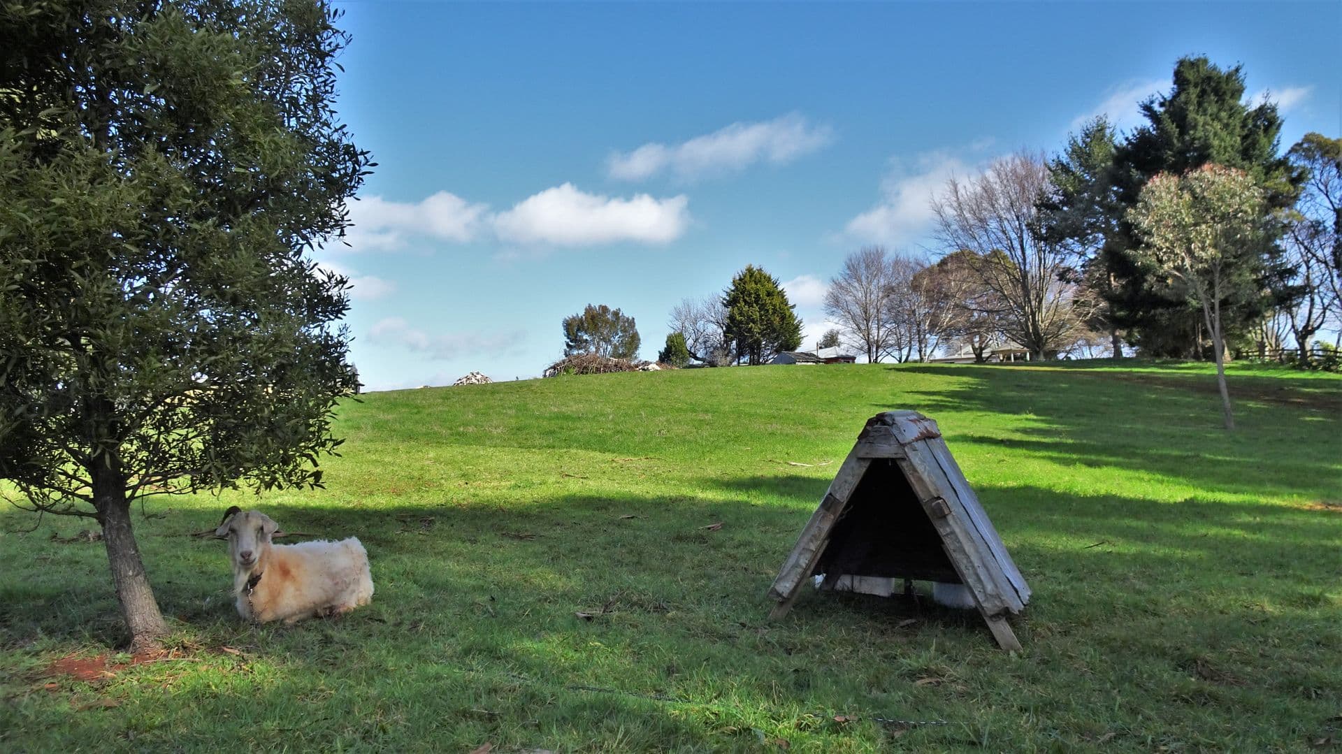 0 Cooper Place, Lower Barrington, TAS, 7306, Lower Barrington - Thumbnail 4