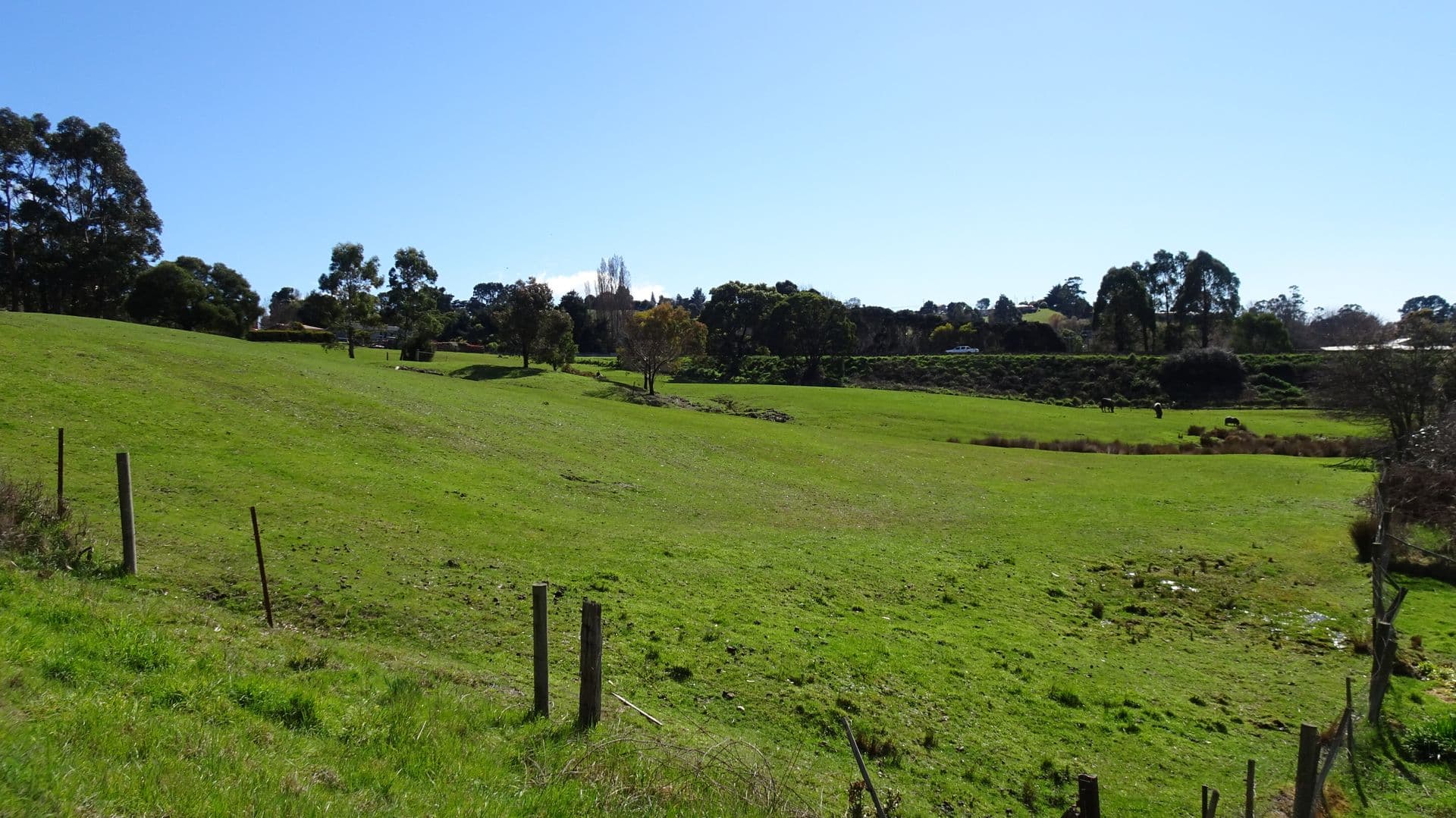 8 Linden Heights, Don, TAS, 7310, Don - Thumbnail 4