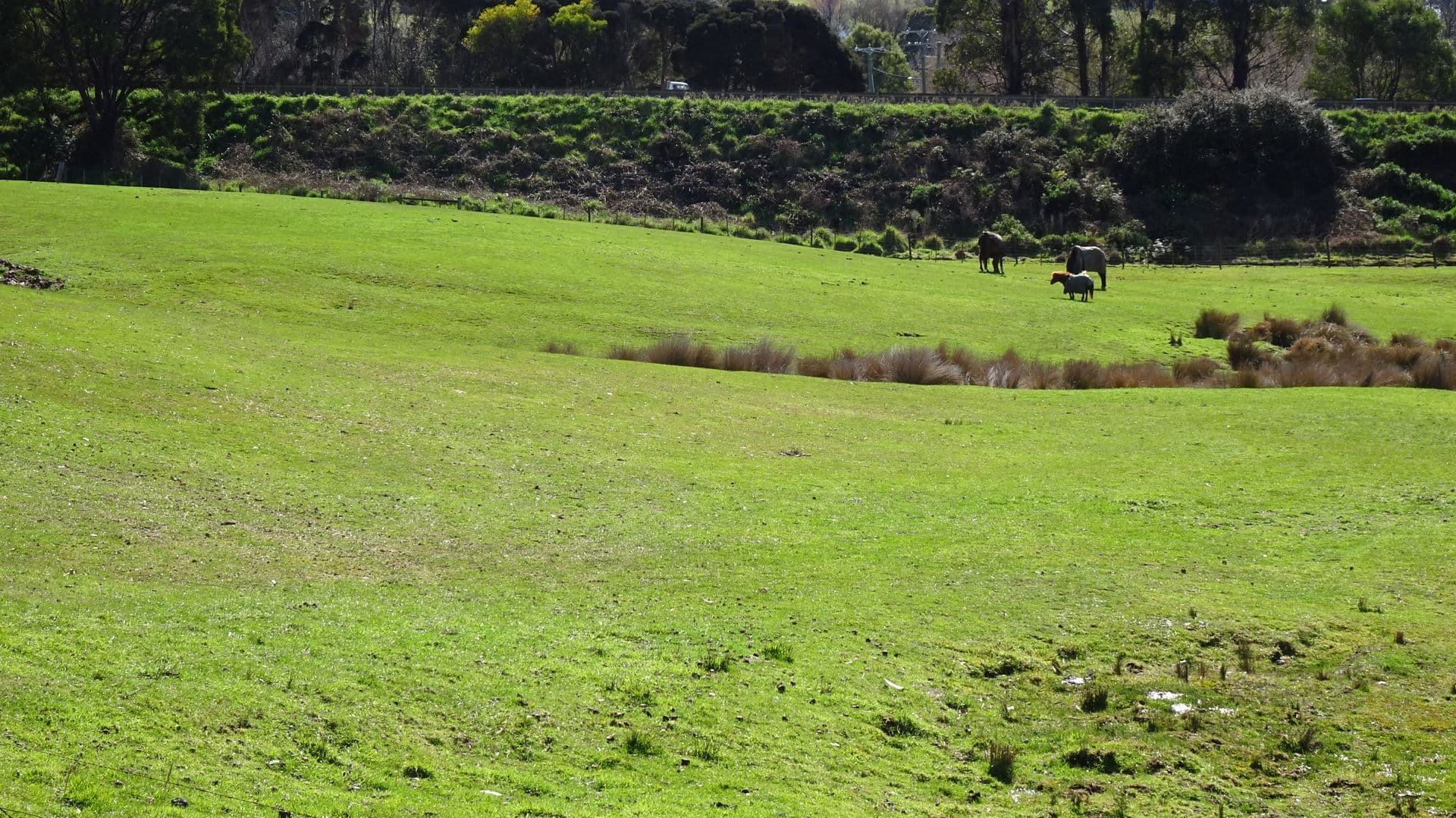 8 Linden Heights, Don, TAS, 7310, Don - Thumbnail 5