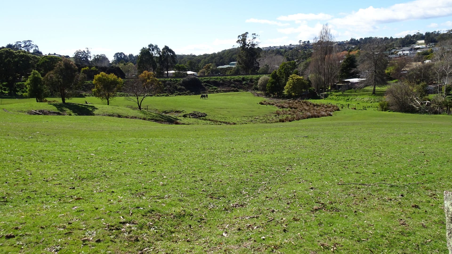 8 Linden Heights, Don, TAS, 7310, Don - Thumbnail 8