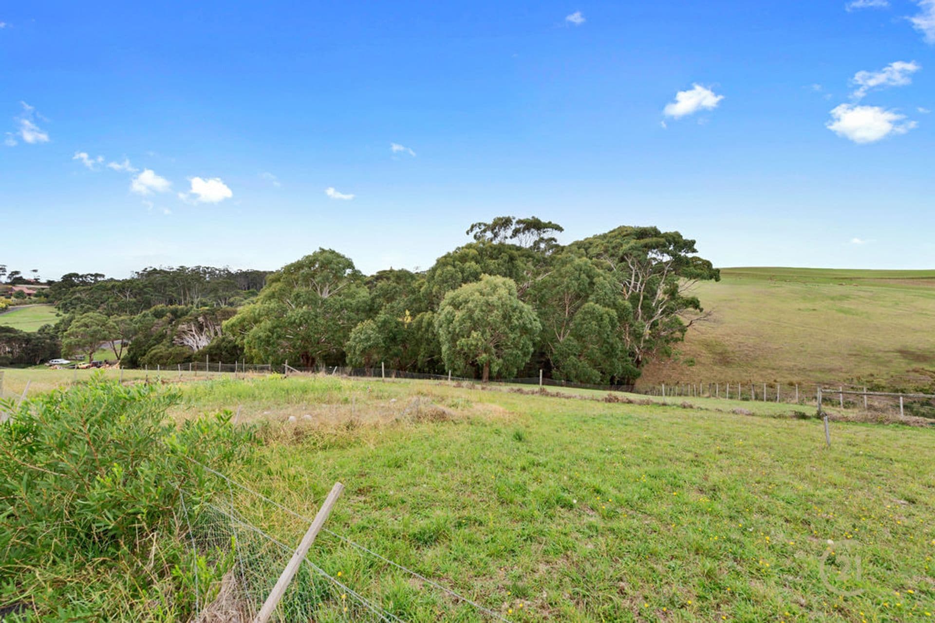 15 Braddons Lookout Road, Leith, TAS, 7315, Leith - Thumbnail 4