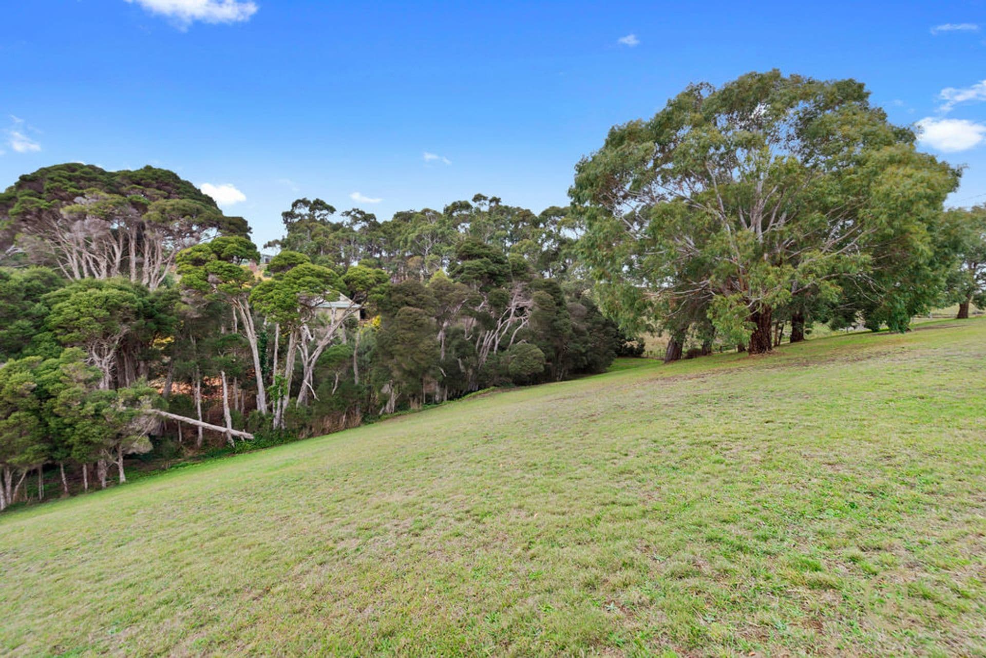 15 Braddons Lookout Road, Leith, TAS, 7315, Leith - Thumbnail 5
