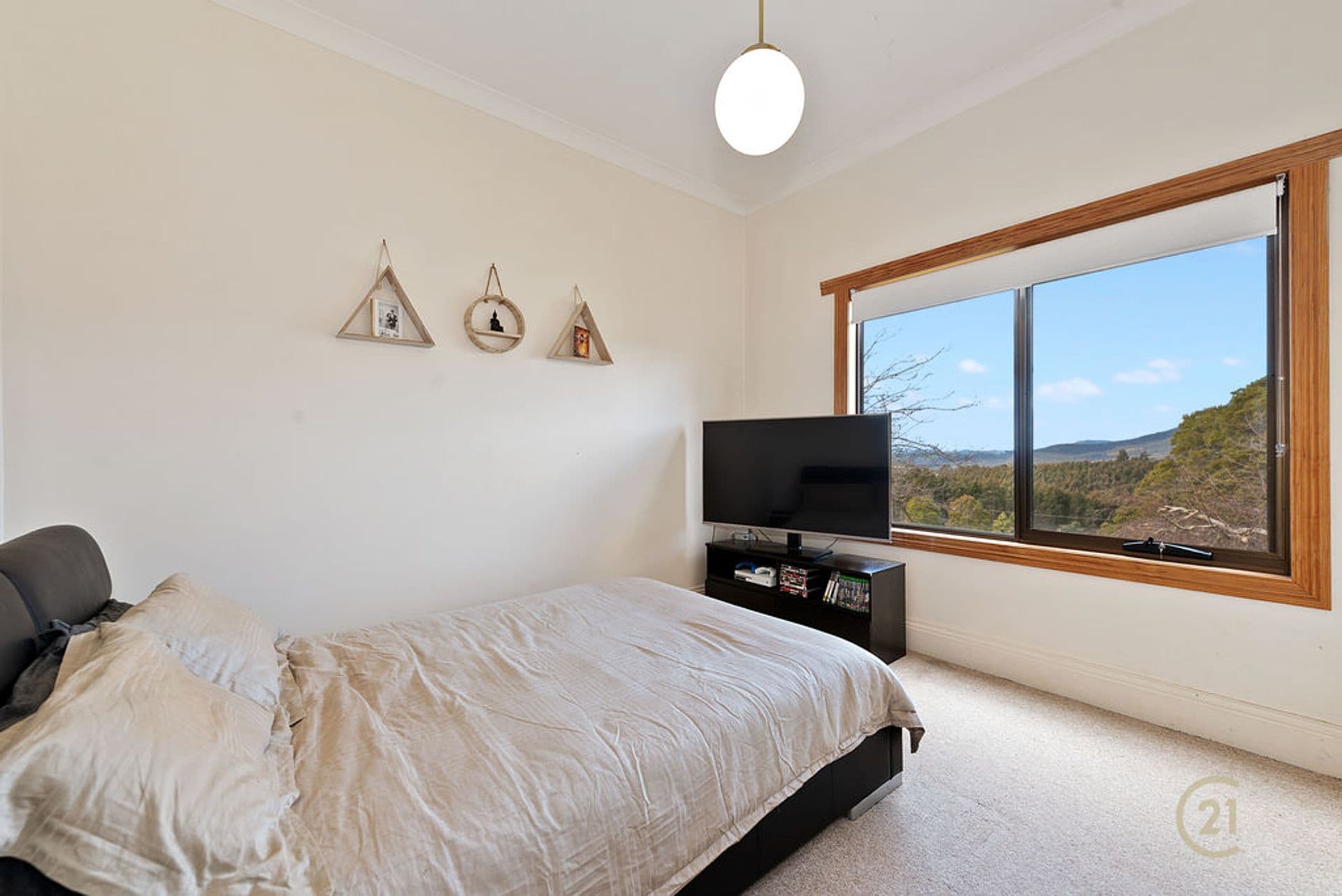384 Staverton Road, Promised Land, TAS, 7306, Promised Land - Thumbnail 8