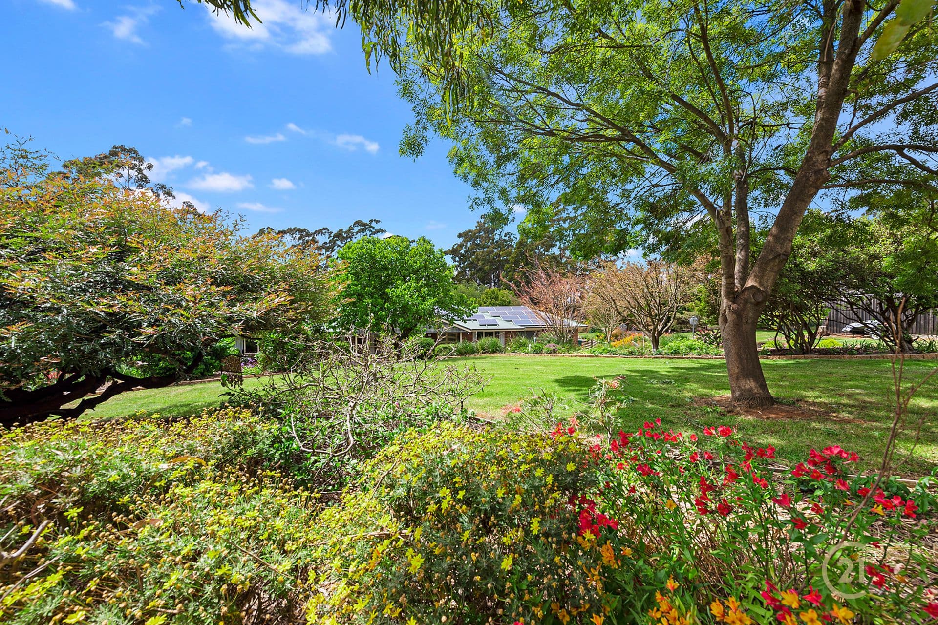 61 Wrenswood Drive, Quoiba, TAS, 7310, Quoiba - Thumbnail 5
