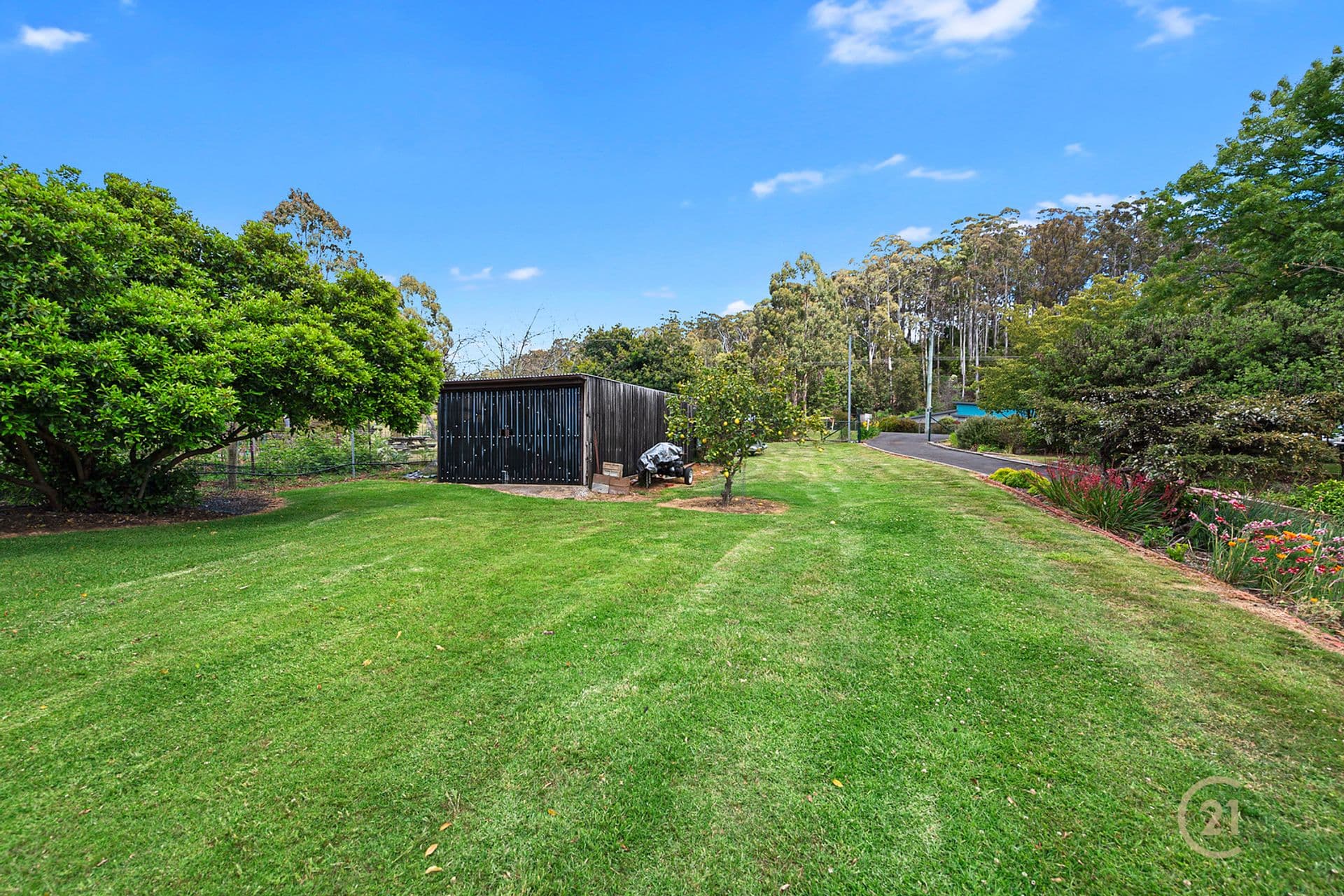 61 Wrenswood Drive, Quoiba, TAS, 7310, Quoiba - Thumbnail 4