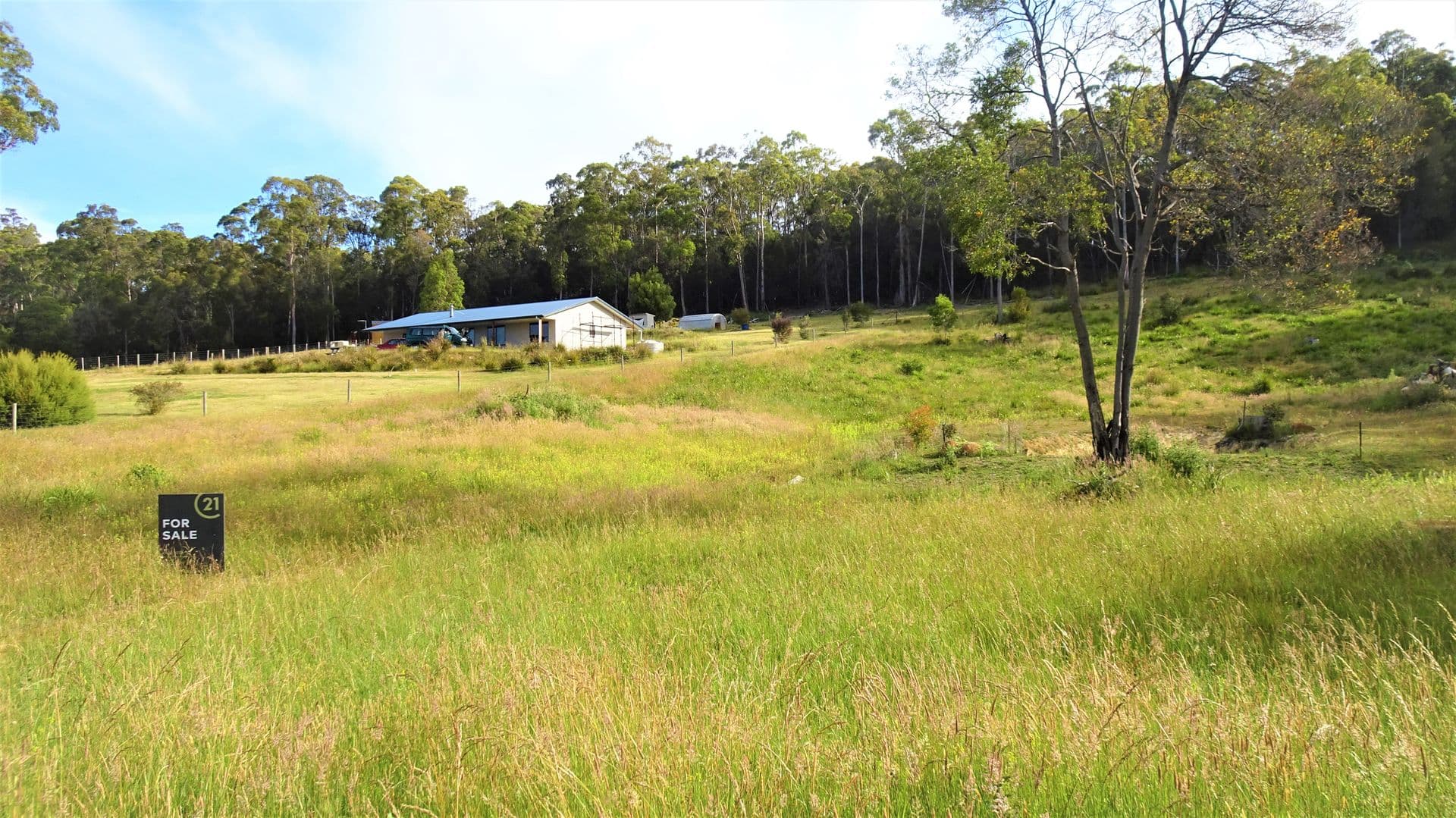 54 Kimberly Road, Railton, TAS, 7305, Railton - Thumbnail 5