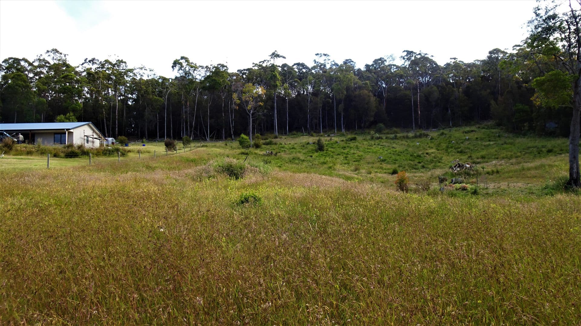 54 Kimberly Road, Railton, TAS, 7305, Railton - Thumbnail 7