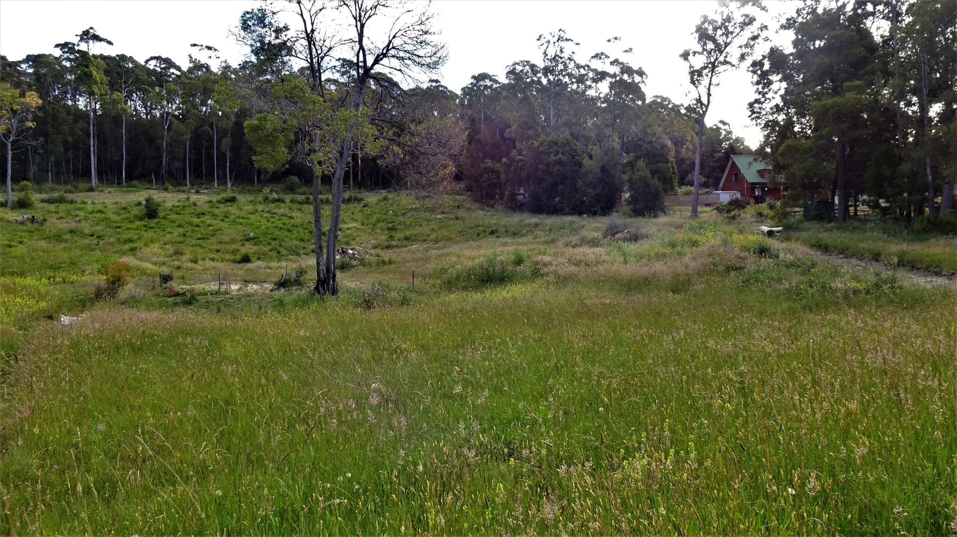 52 Kimberly Road, Railton, TAS, 7305, Railton - Thumbnail 3