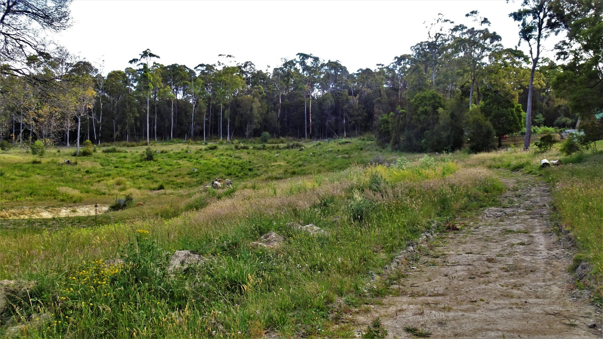 52 Kimberly Road, Railton, TAS, 7305, Railton - Thumbnail 4