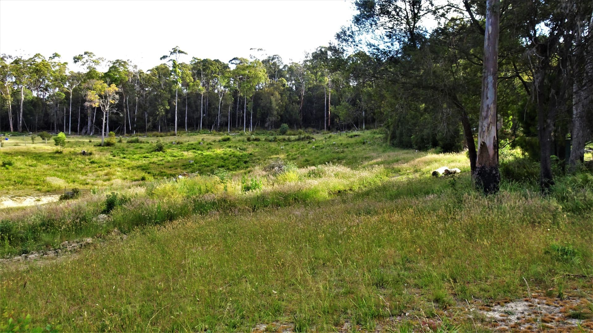 52 Kimberly Road, Railton, TAS, 7305, Railton - Thumbnail 5