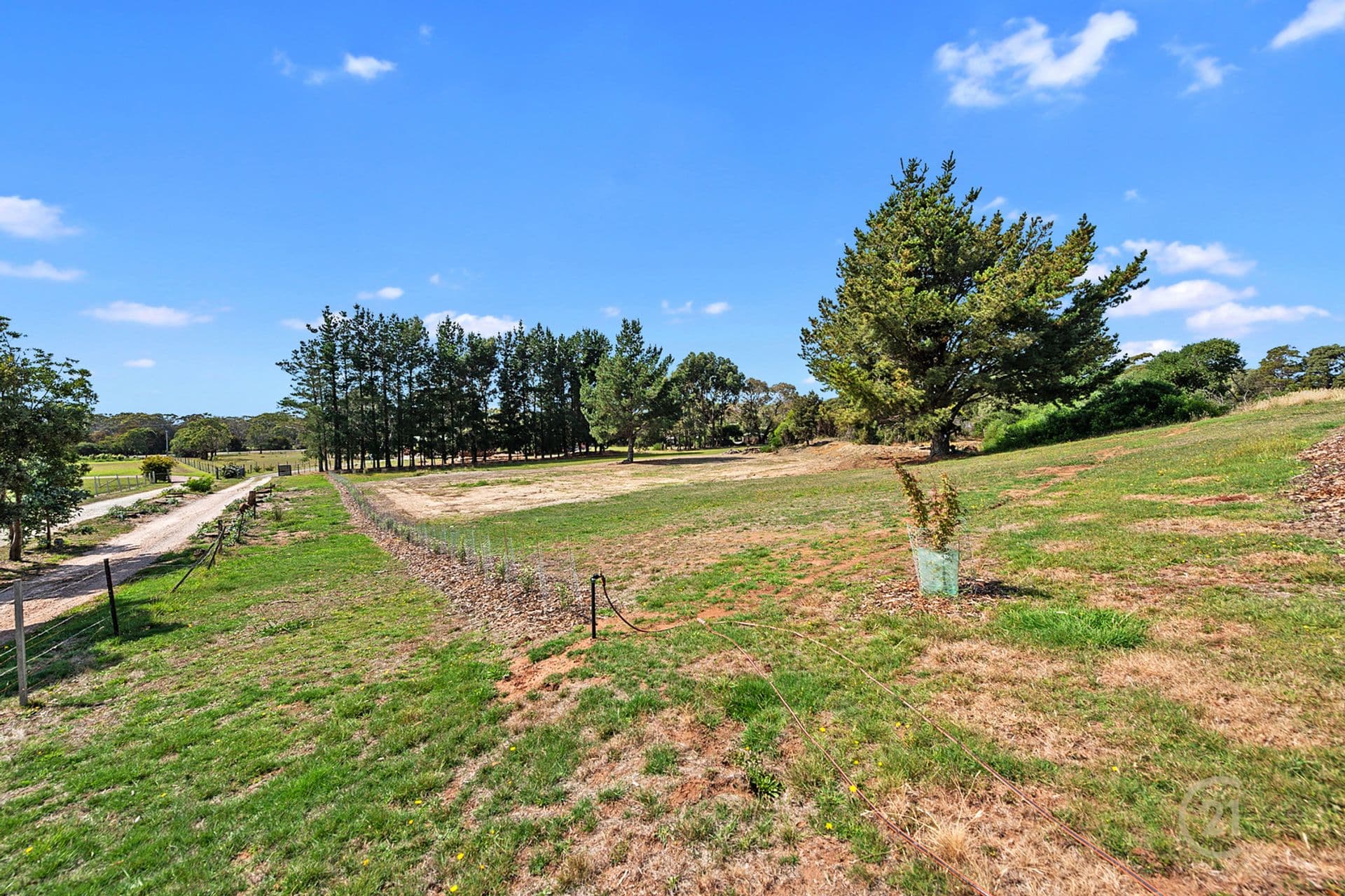 5 Herbert Place, Port Sorell, TAS, 7307, Port Sorell - Thumbnail 4
