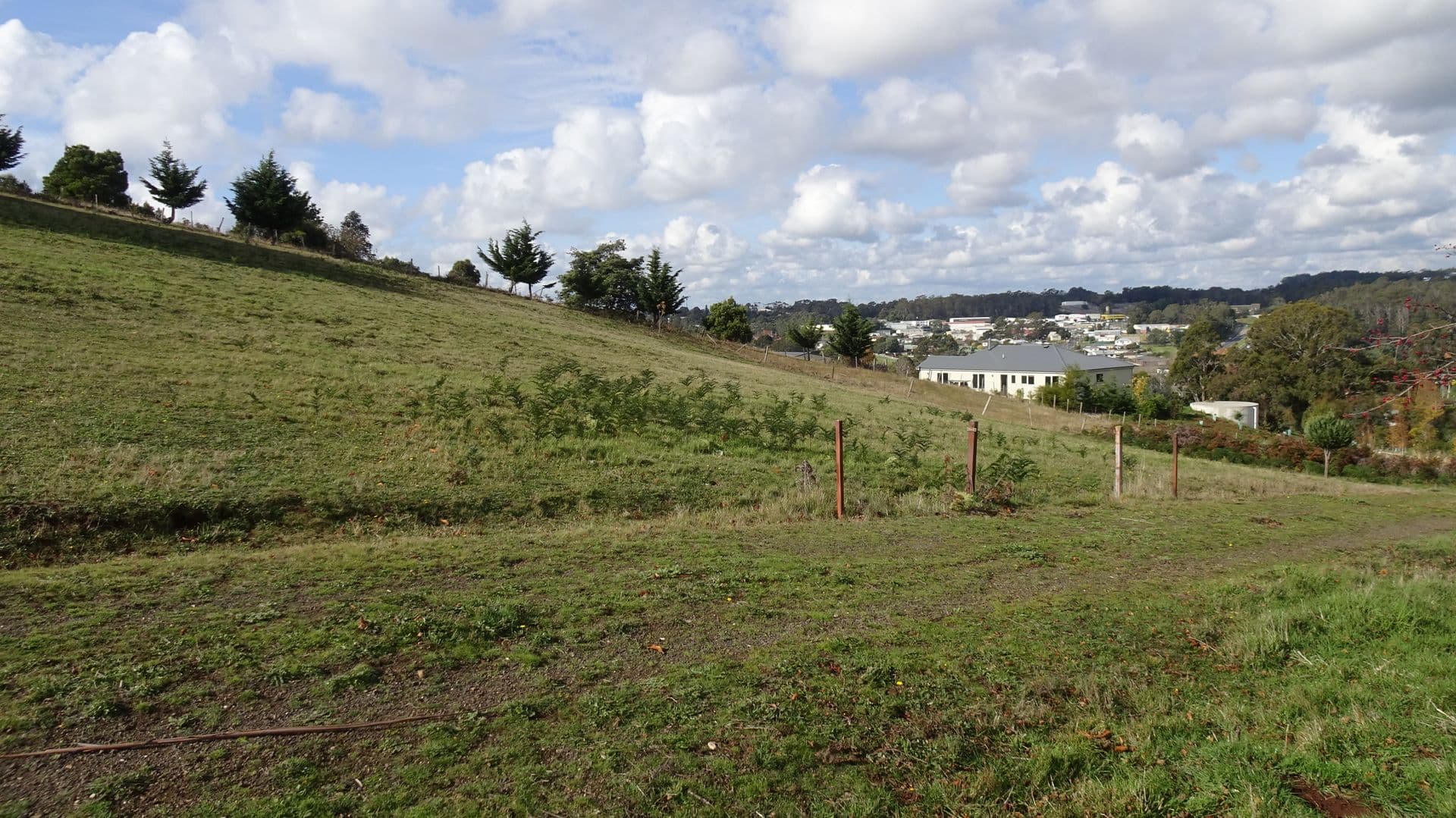 42 Old Coast Road, Don, TAS, 7310, Don - Thumbnail 5