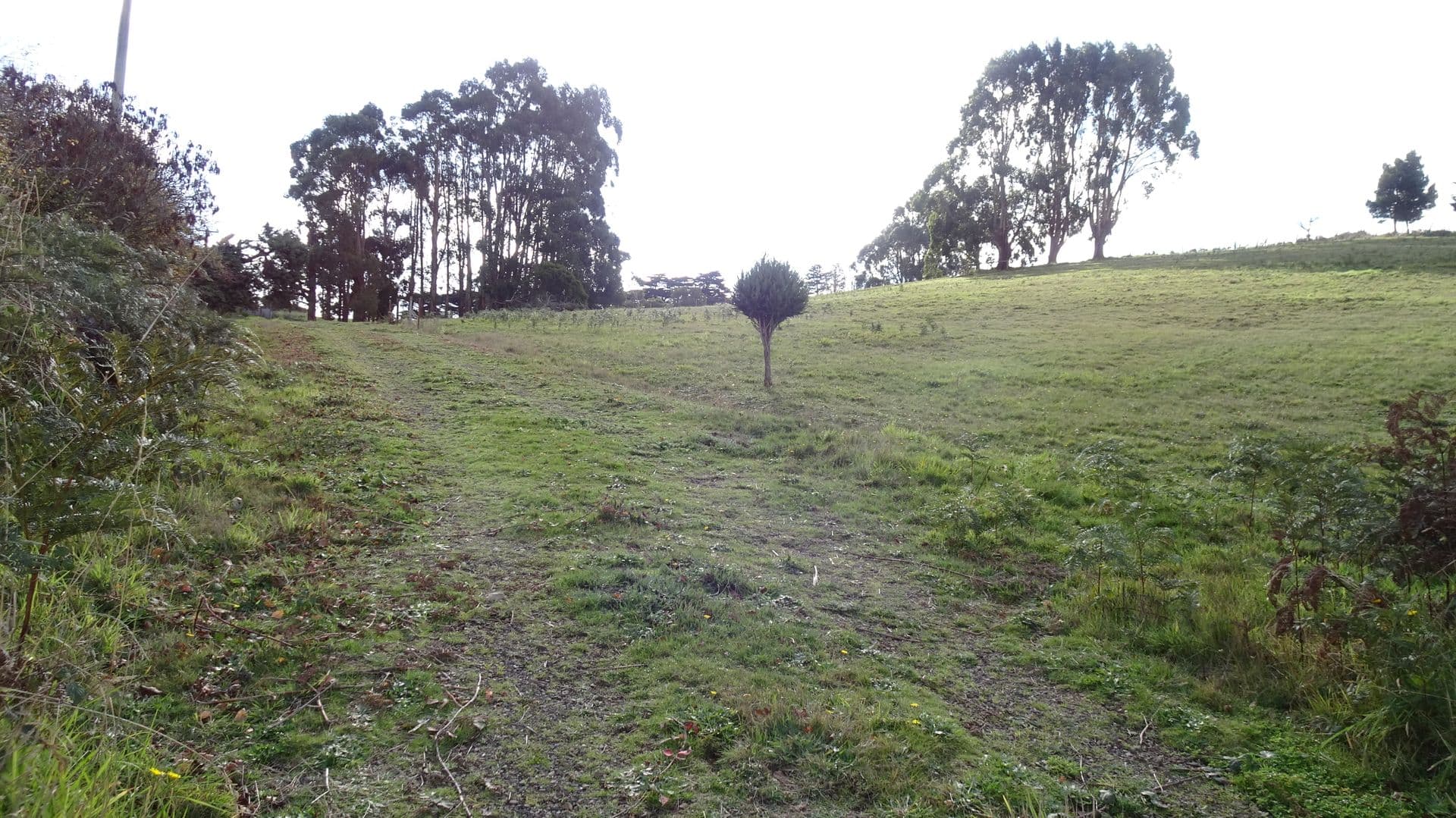 42 Old Coast Road, Don, TAS, 7310, Don - Thumbnail 8