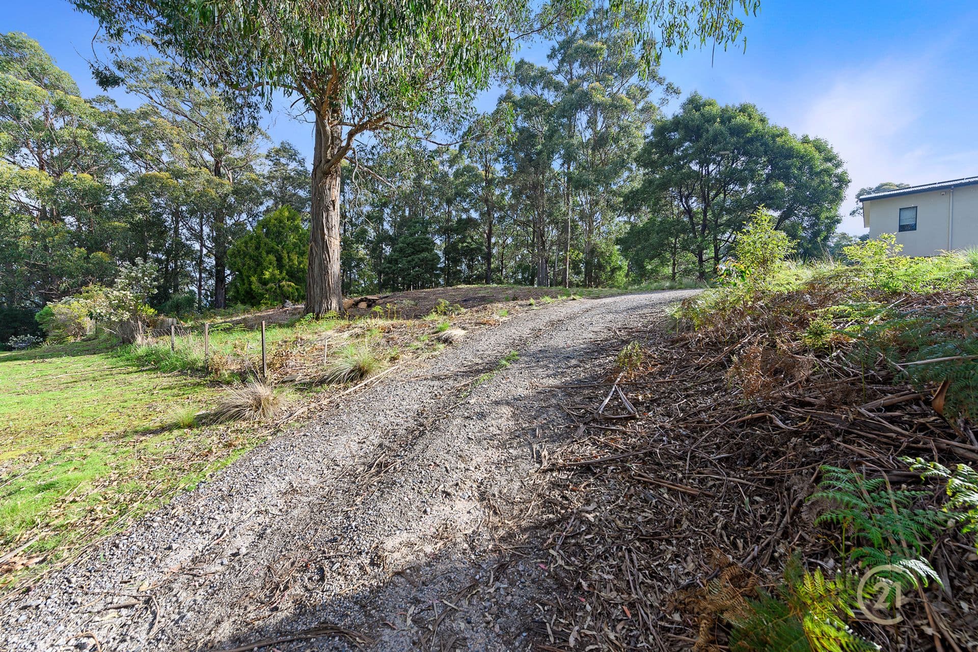 8 Ellice Hill Drive, Spreyton, TAS, 7310, Spreyton - Thumbnail 2