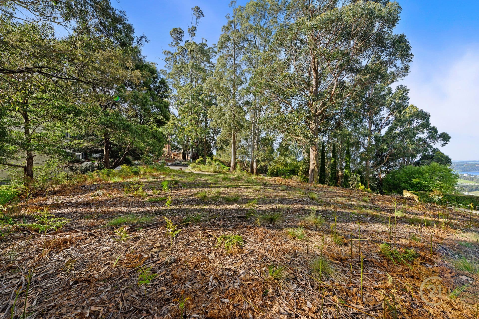 8 Ellice Hill Drive, Spreyton, TAS, 7310, Spreyton - Thumbnail 5
