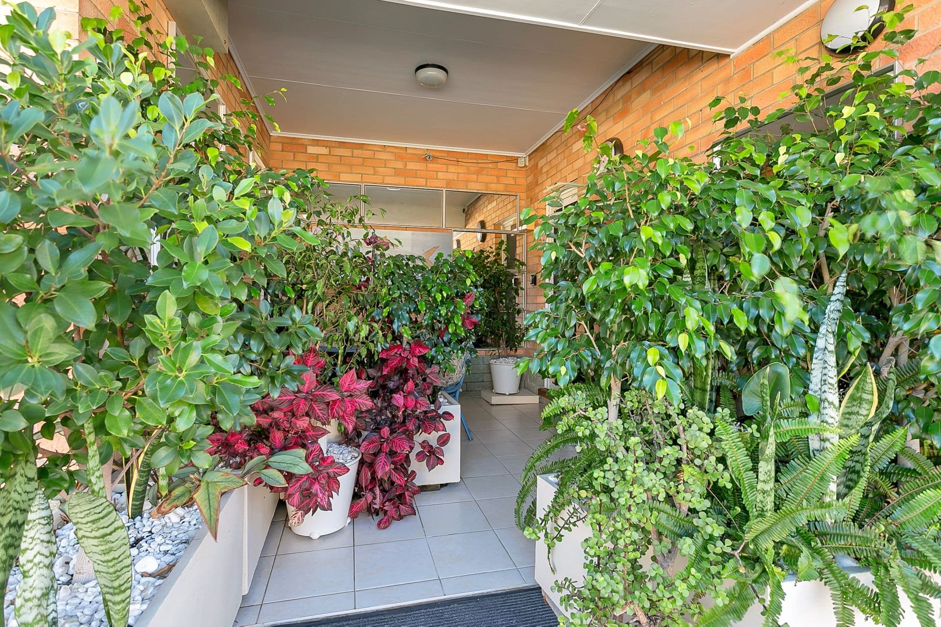 3/4-6 Penzance Street, Glenelg, SA, 5045, Glenelg - Thumbnail 2