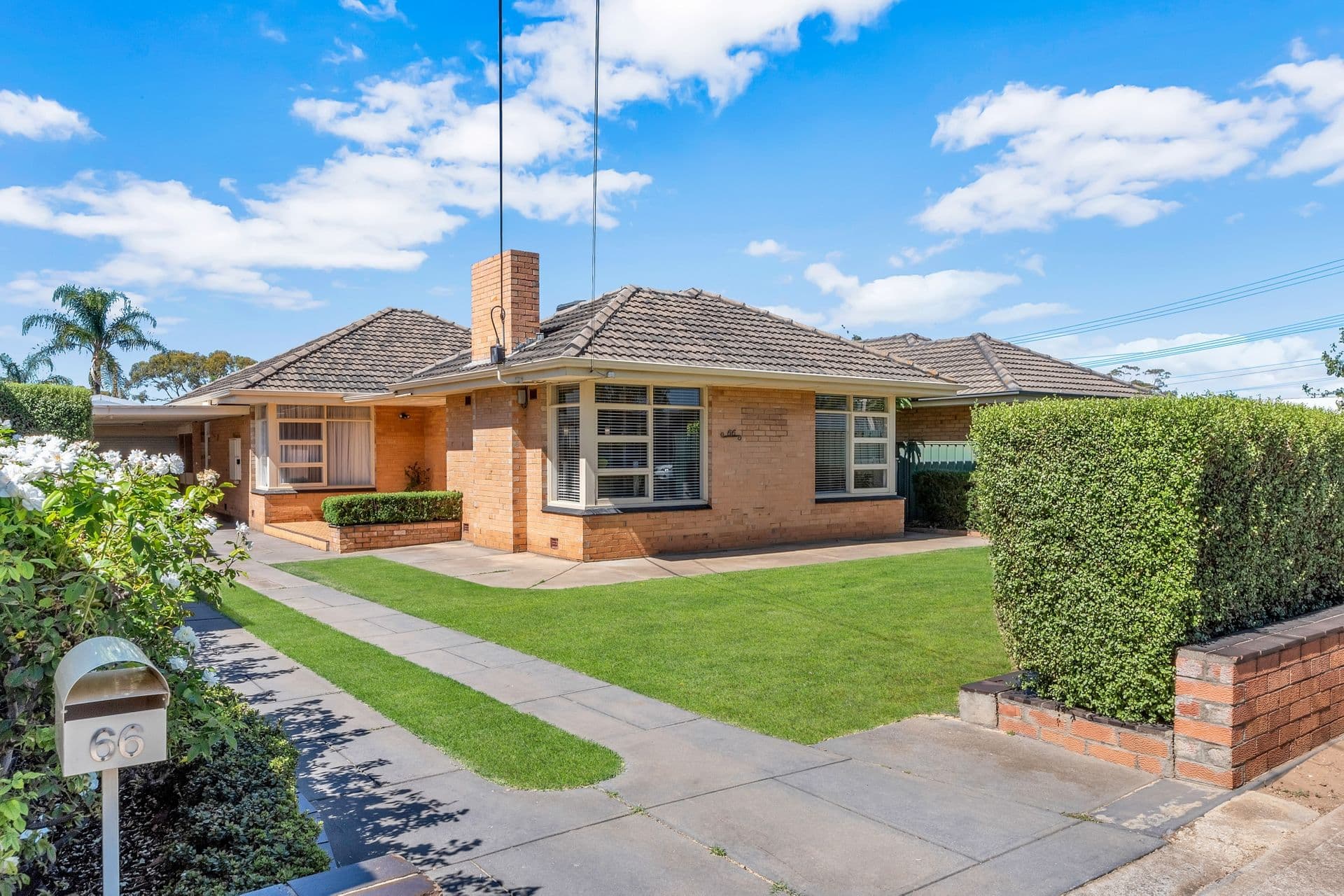 66 Beadnall Terrace, Glengowrie, SA, 5044, Glengowrie - Image 1